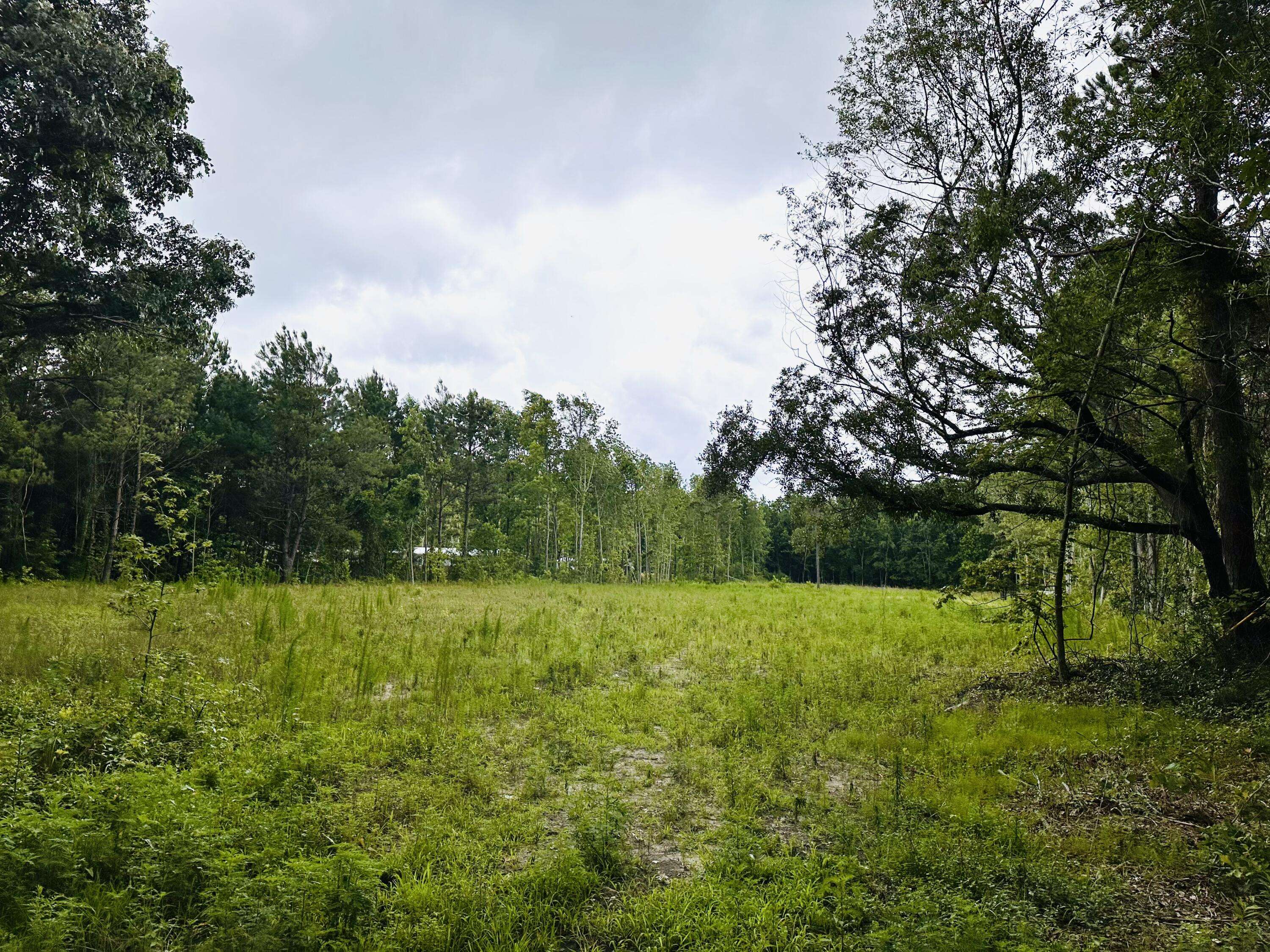 Seabrook, SC 29940,55 Seabrook Center Rd