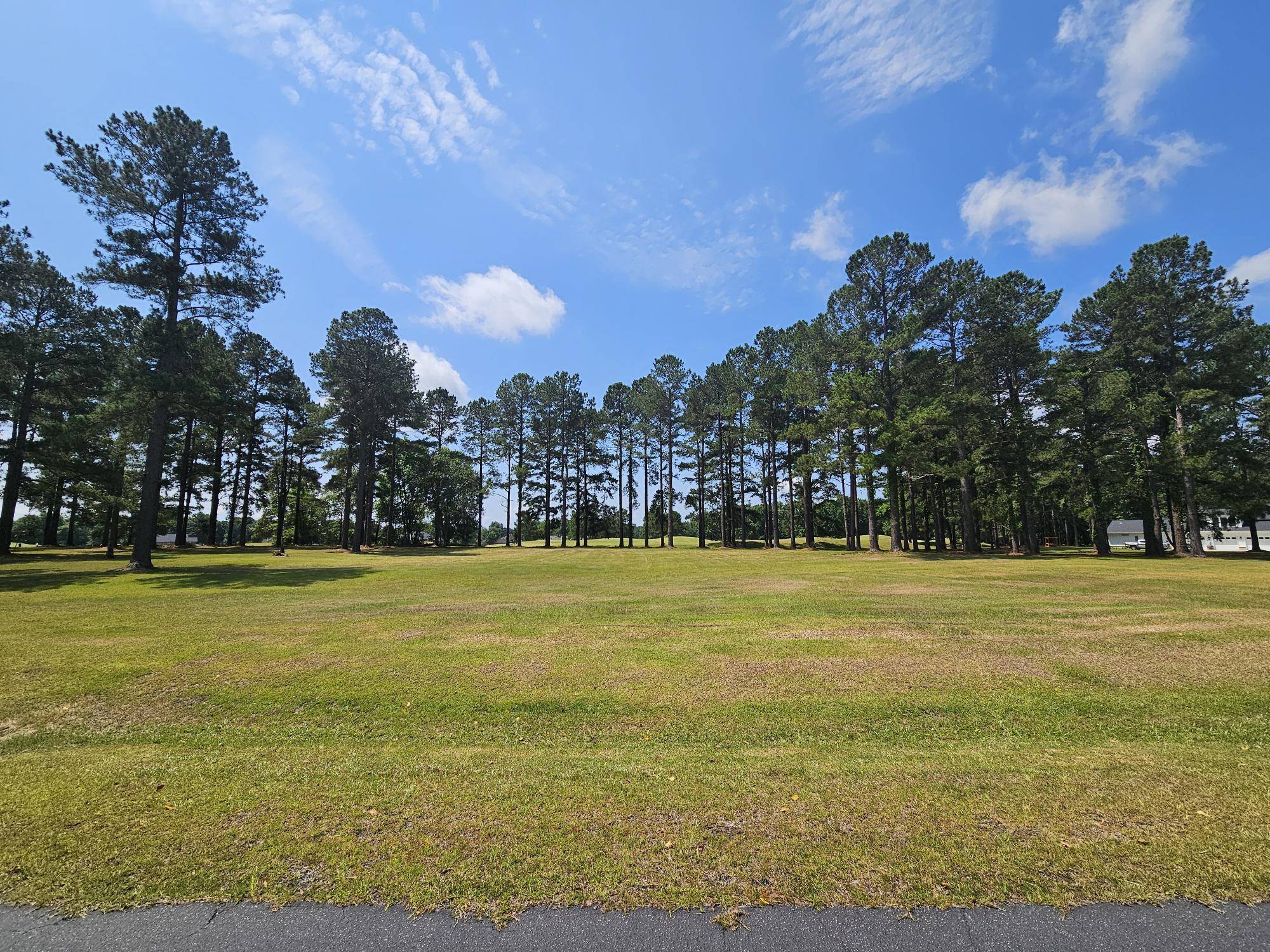 Manning, SC 29102,423 Pinelake Ct