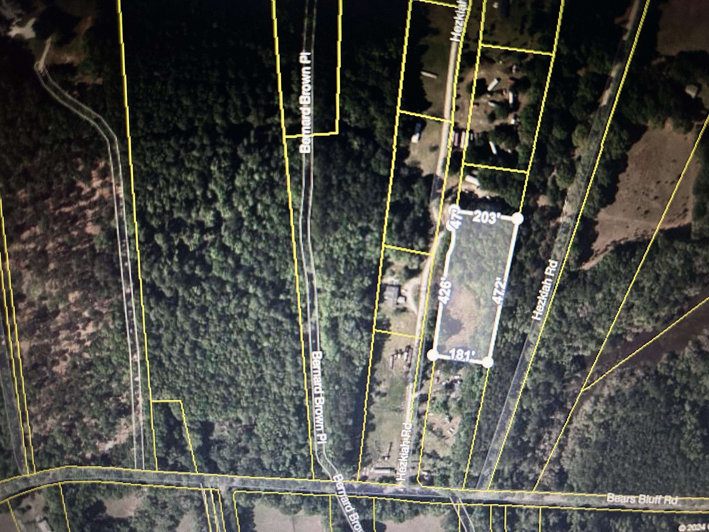 Wadmalaw Island, SC 29487,1476 Hezkiah Rd