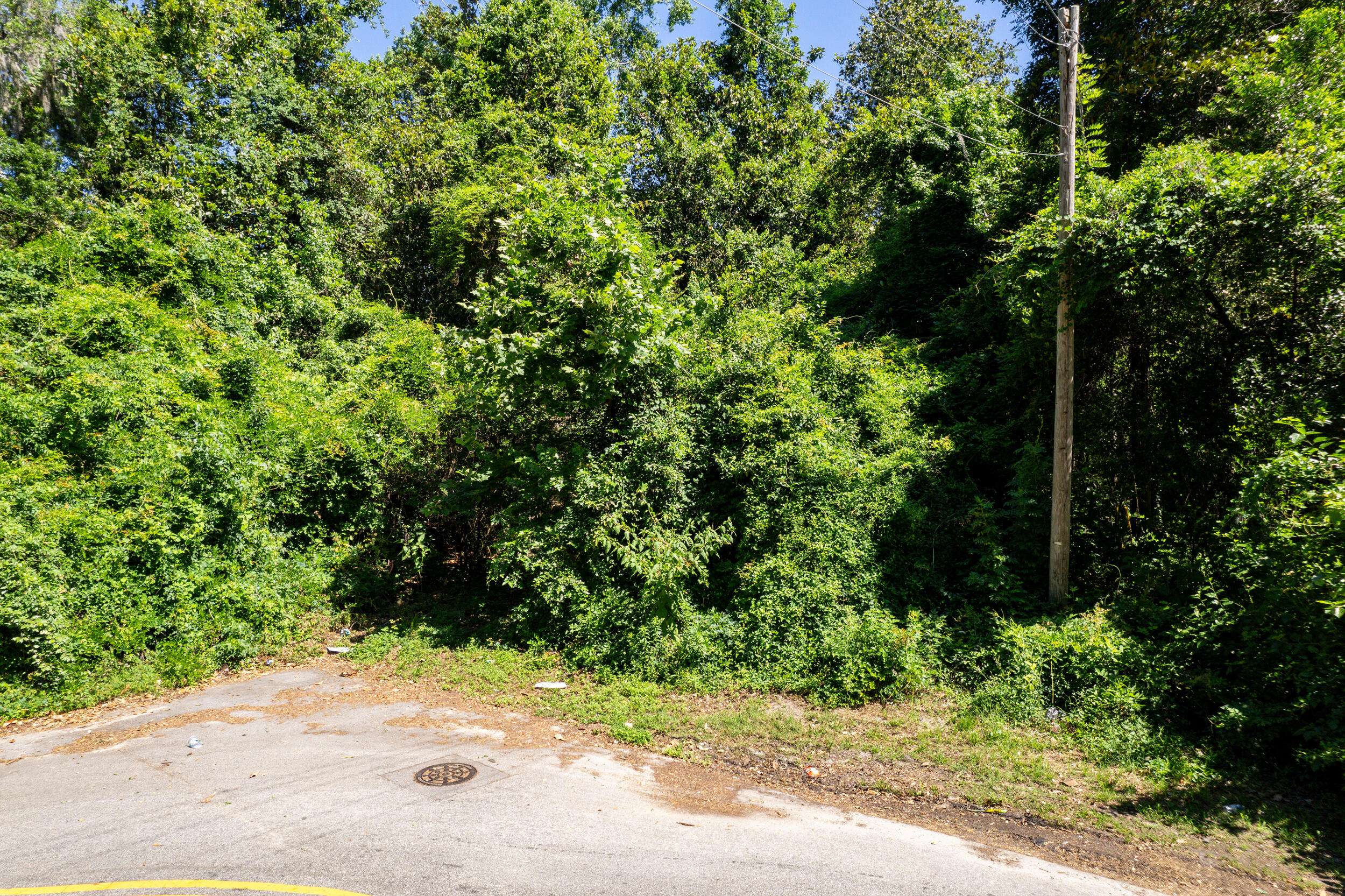 Walterboro, SC 29488,0 Moore St