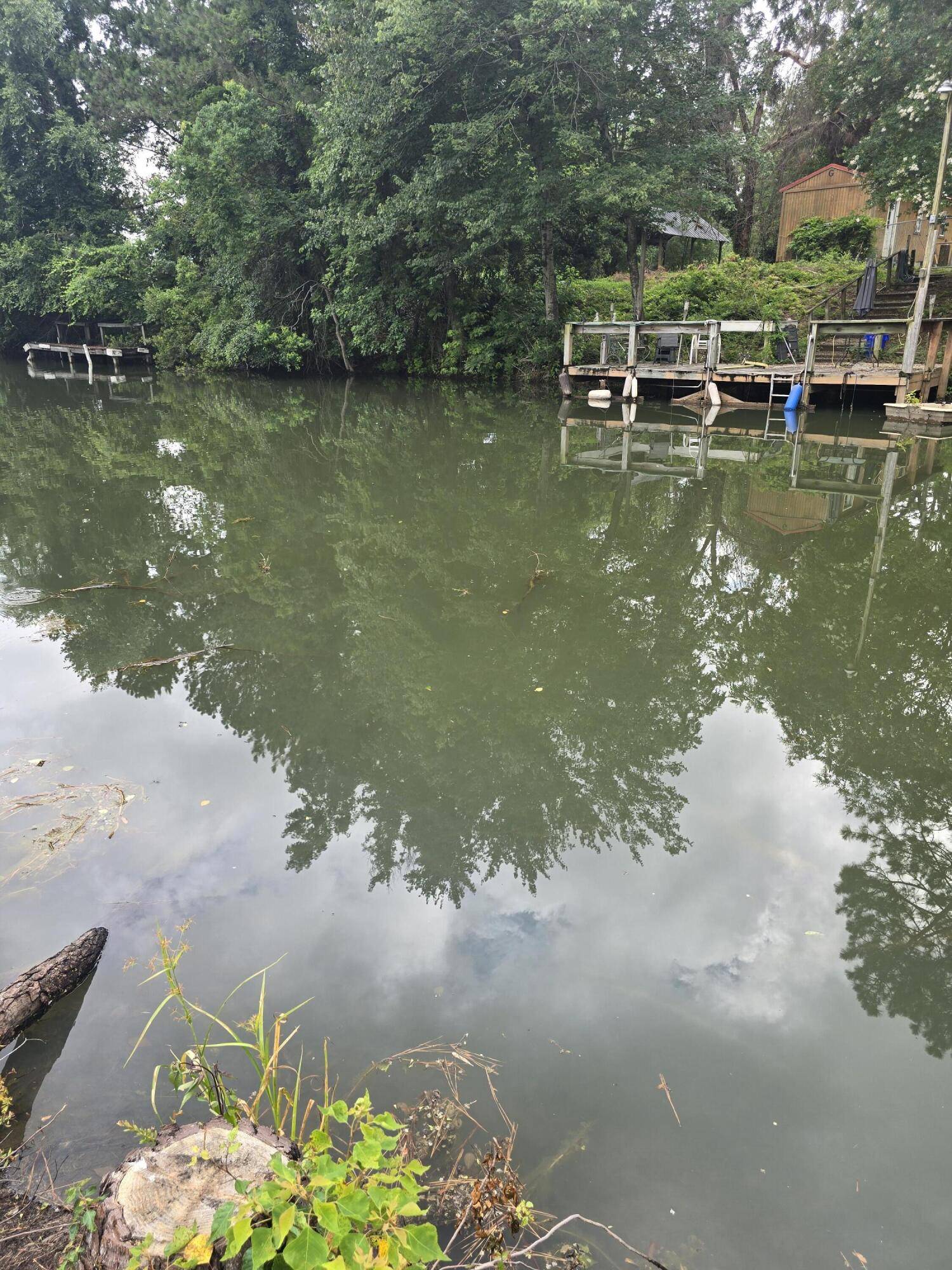 Summerton, SC 29148,1093 Denwood Ln