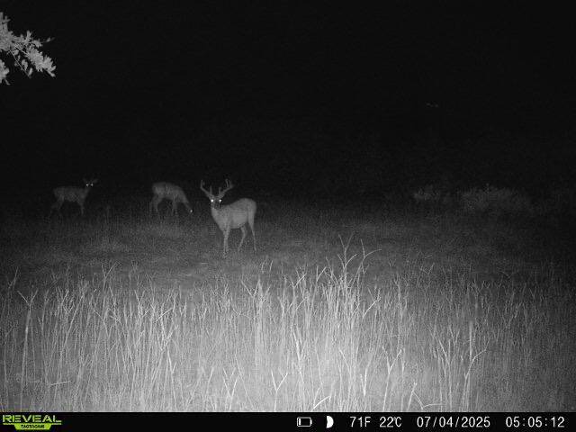 Manning, SC 29102,5120 N Brewington Rd