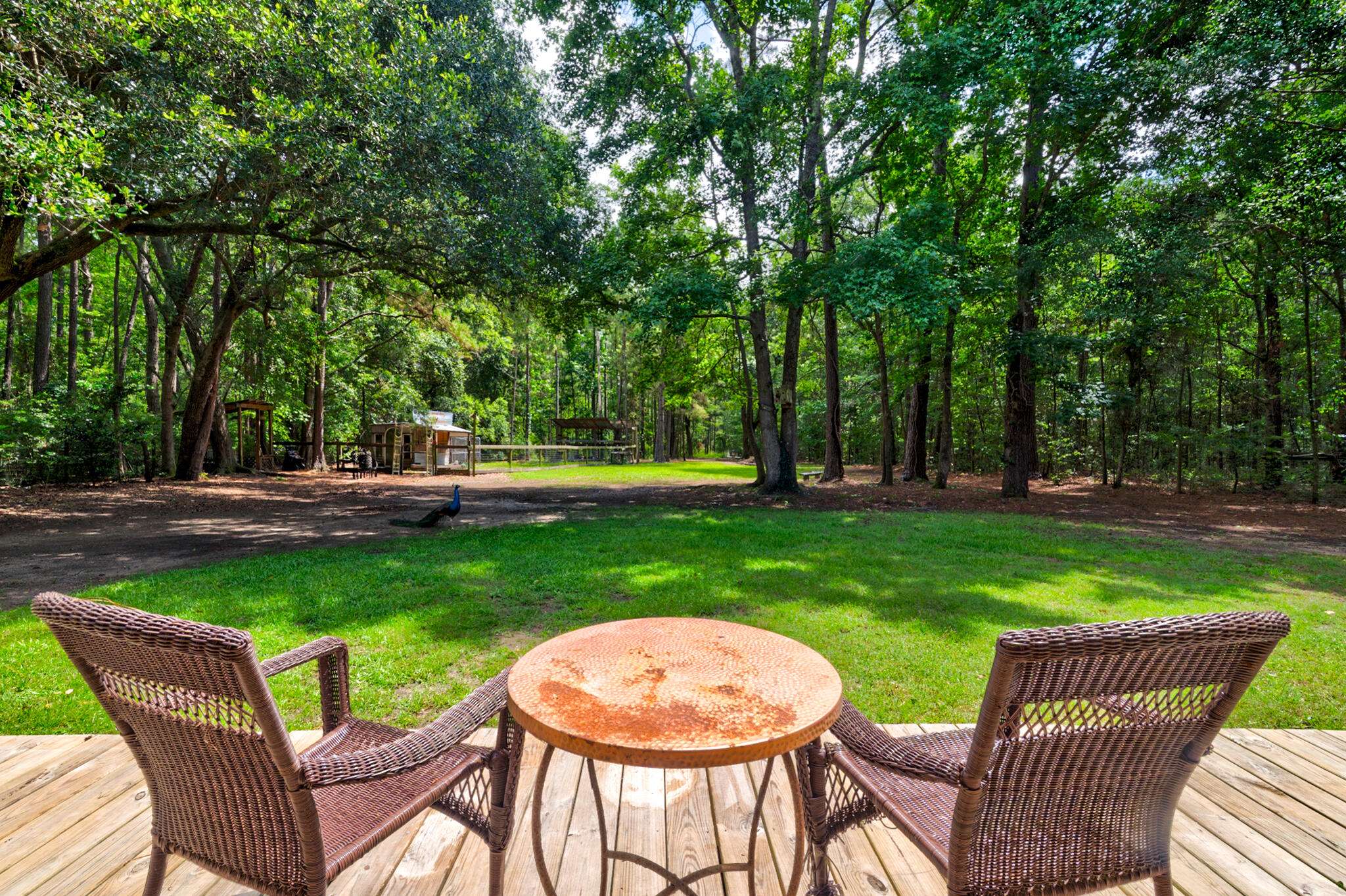 Mcclellanville, SC 29458,1384 Tibwin Rd