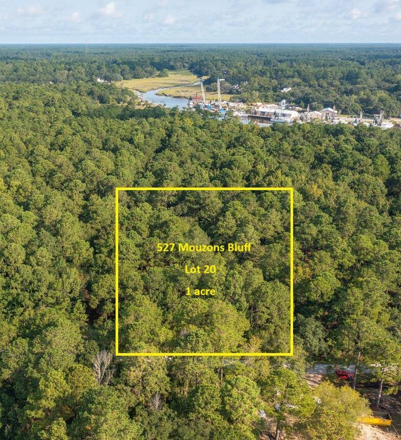 Mcclellanville, SC 29458,527 Mouzons Bluff