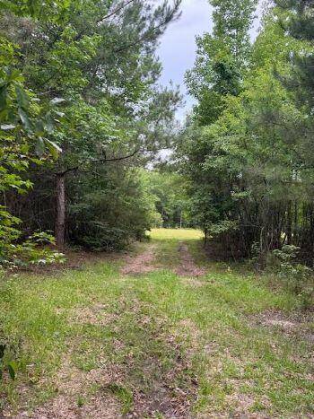 Summerton, SC 29148,7082 M W Rickenbaker Rd