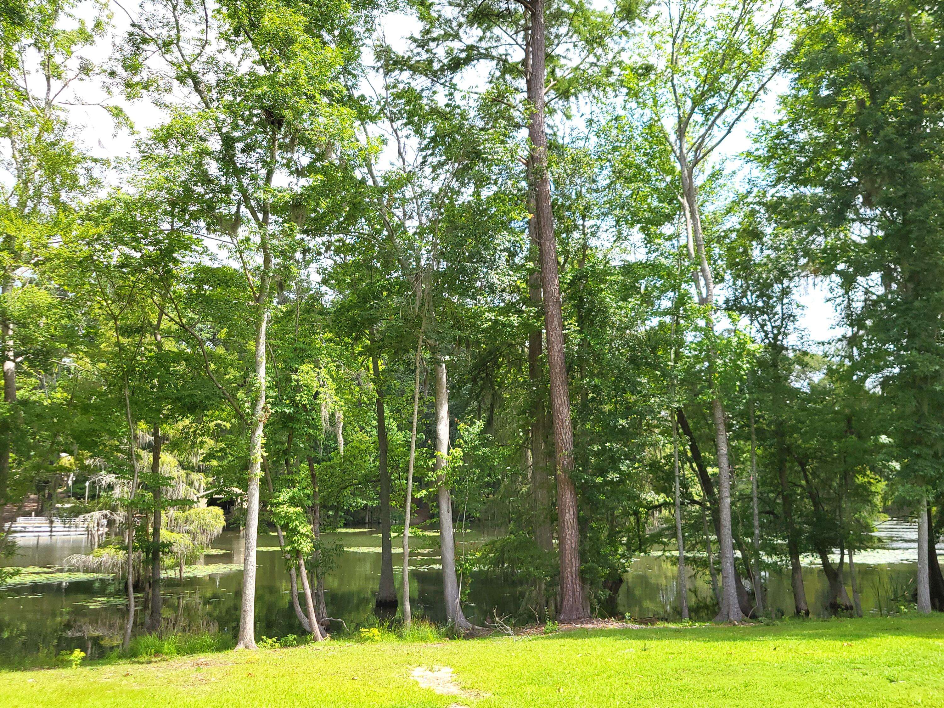 Elloree, SC 29047,142 Parklin Ln