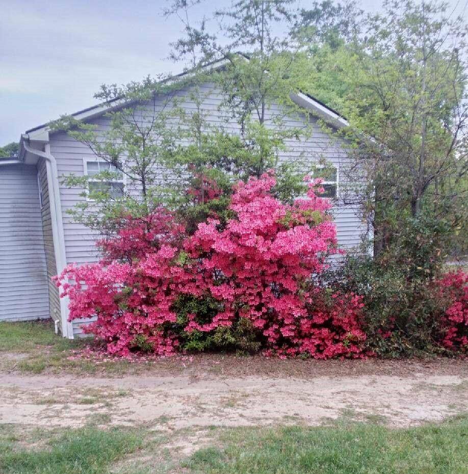 Summerton, SC 29148,1201 Crescent St