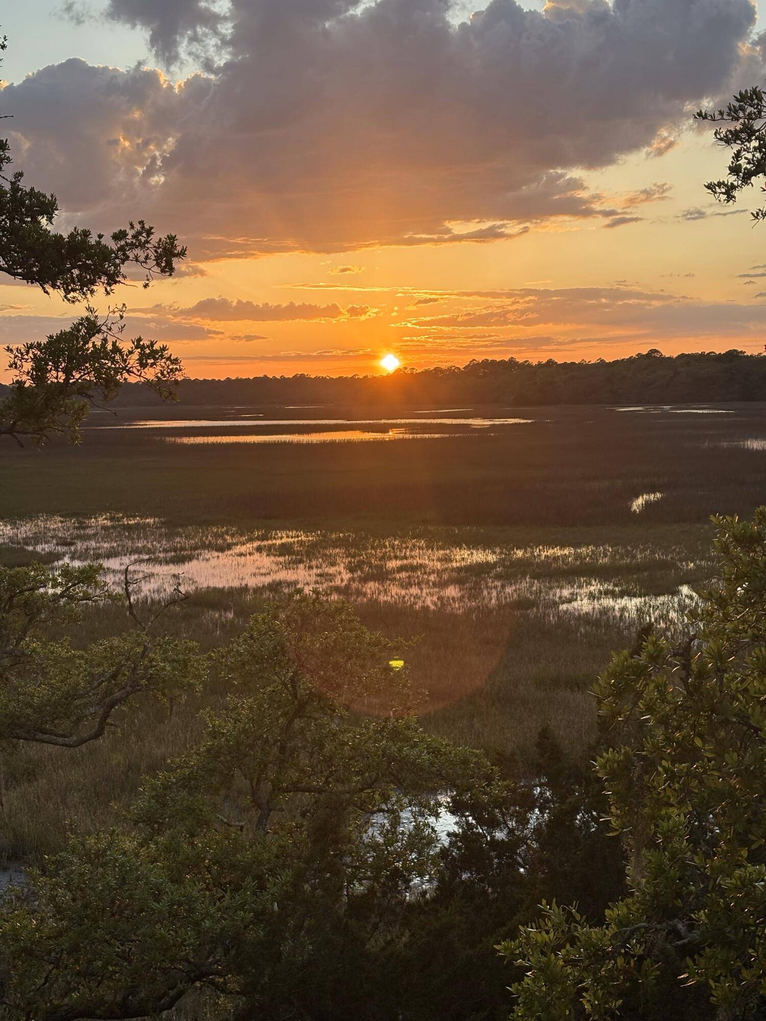 Edisto Island, SC 29438,123 Jungle Rd