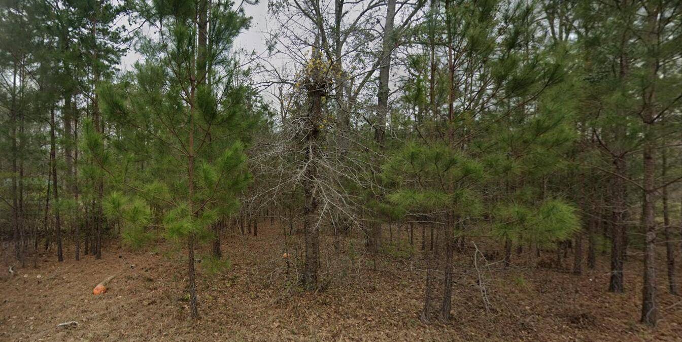 Orangeburg, SC 29115,2762 Myrtle Dr