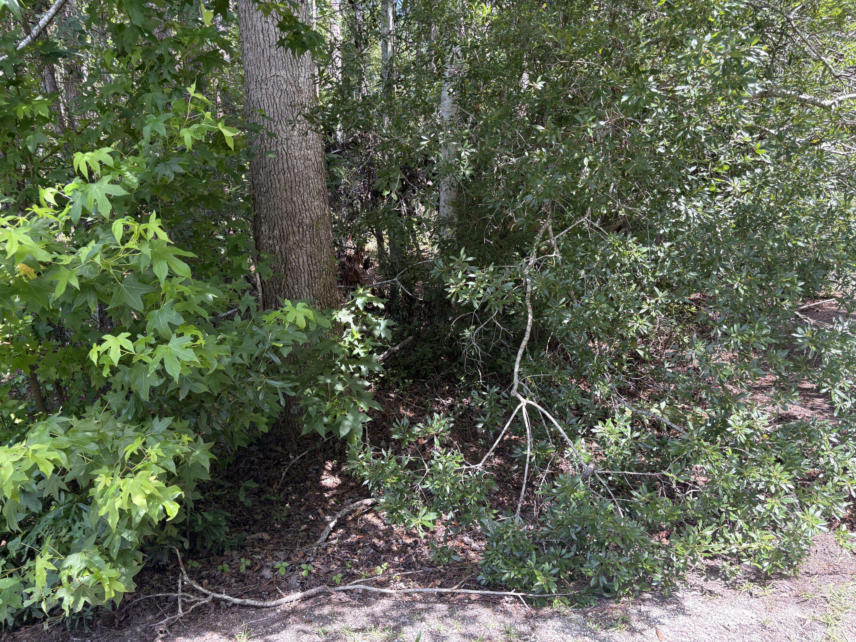 Walterboro, SC 29488,110 Rayland Cir