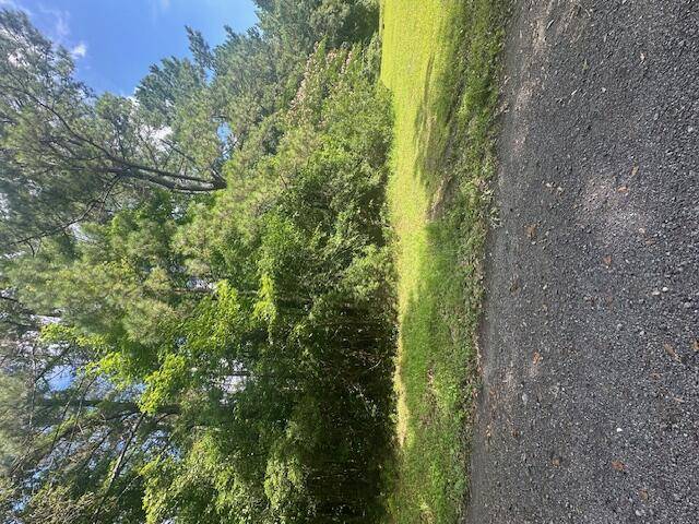 Ridgeville, SC 29472,0 Duberry Ln
