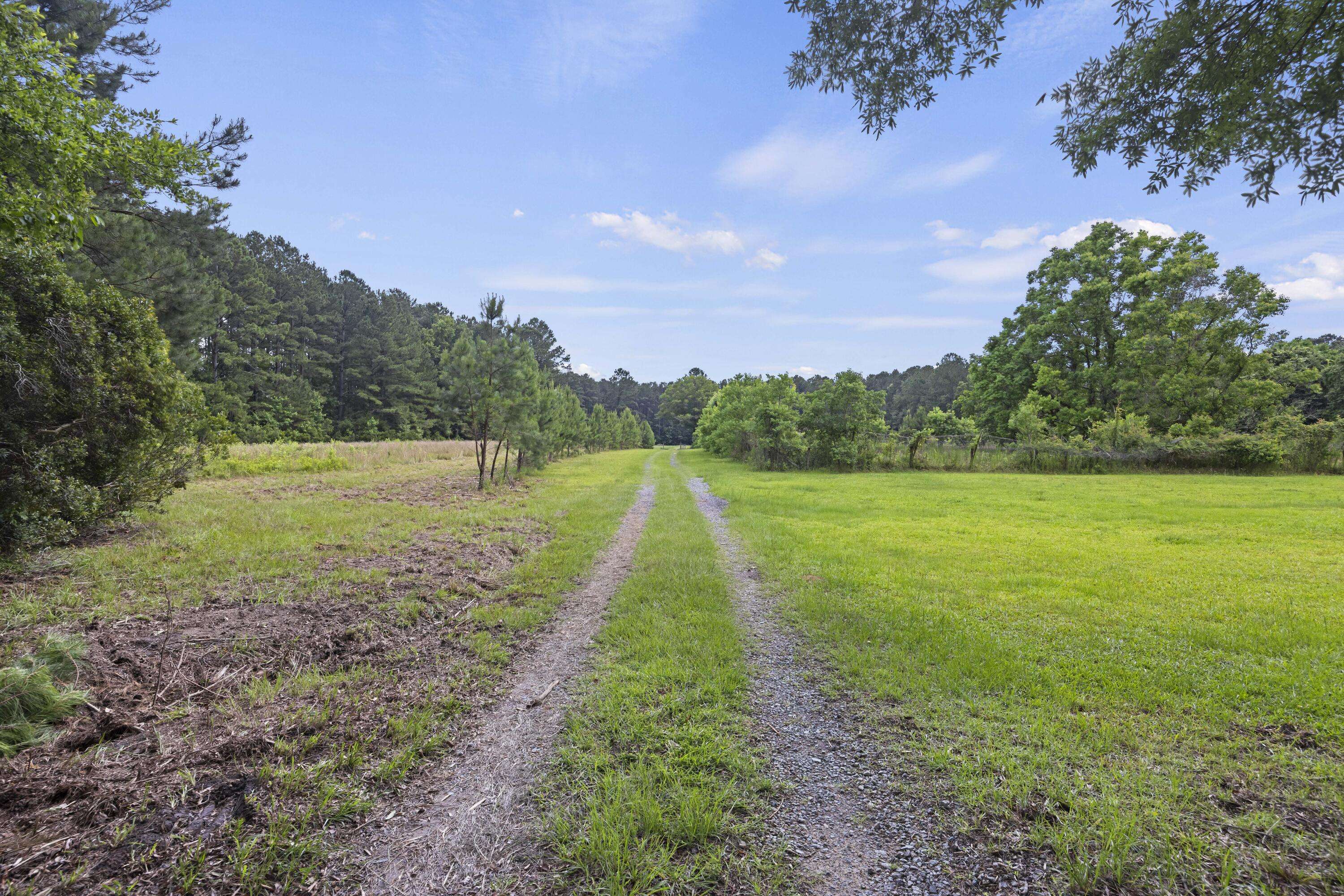 Bonneau, SC 29431,191 Marion Woods Trl