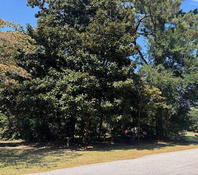 Adams Run, SC 29426,8946 Anderson Rd