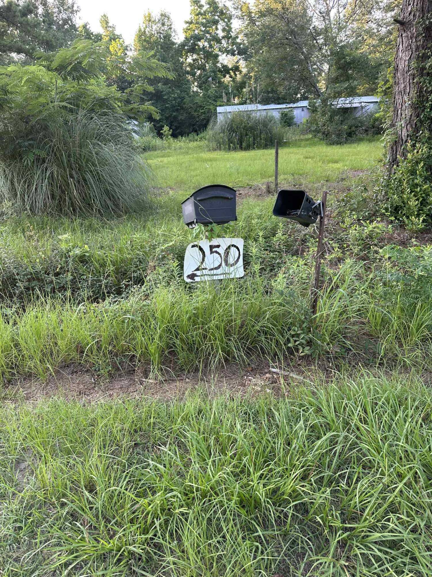 Cottageville, SC 29435,250 Lindaville Ln
