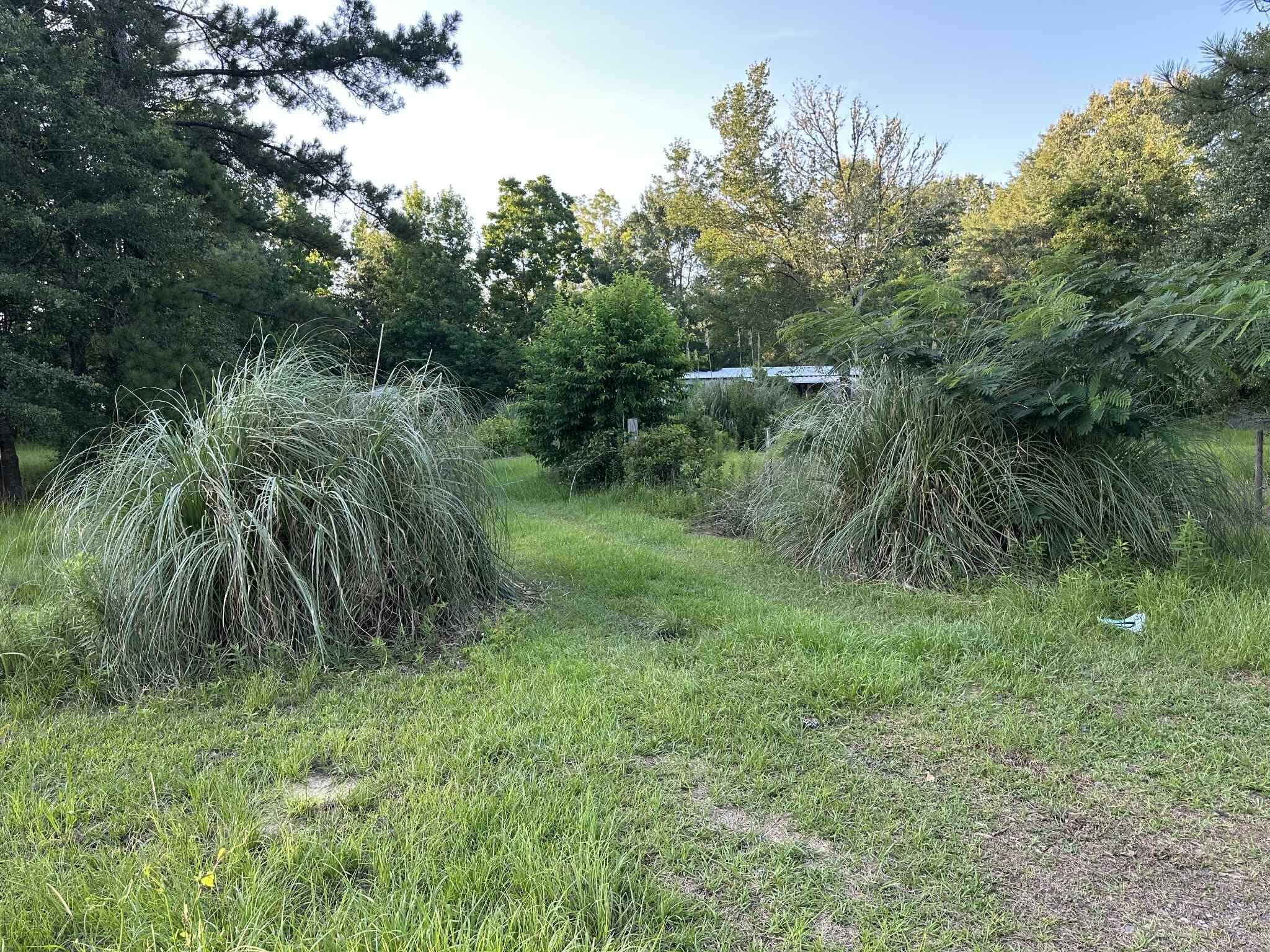 Cottageville, SC 29435,250 Lindaville Ln