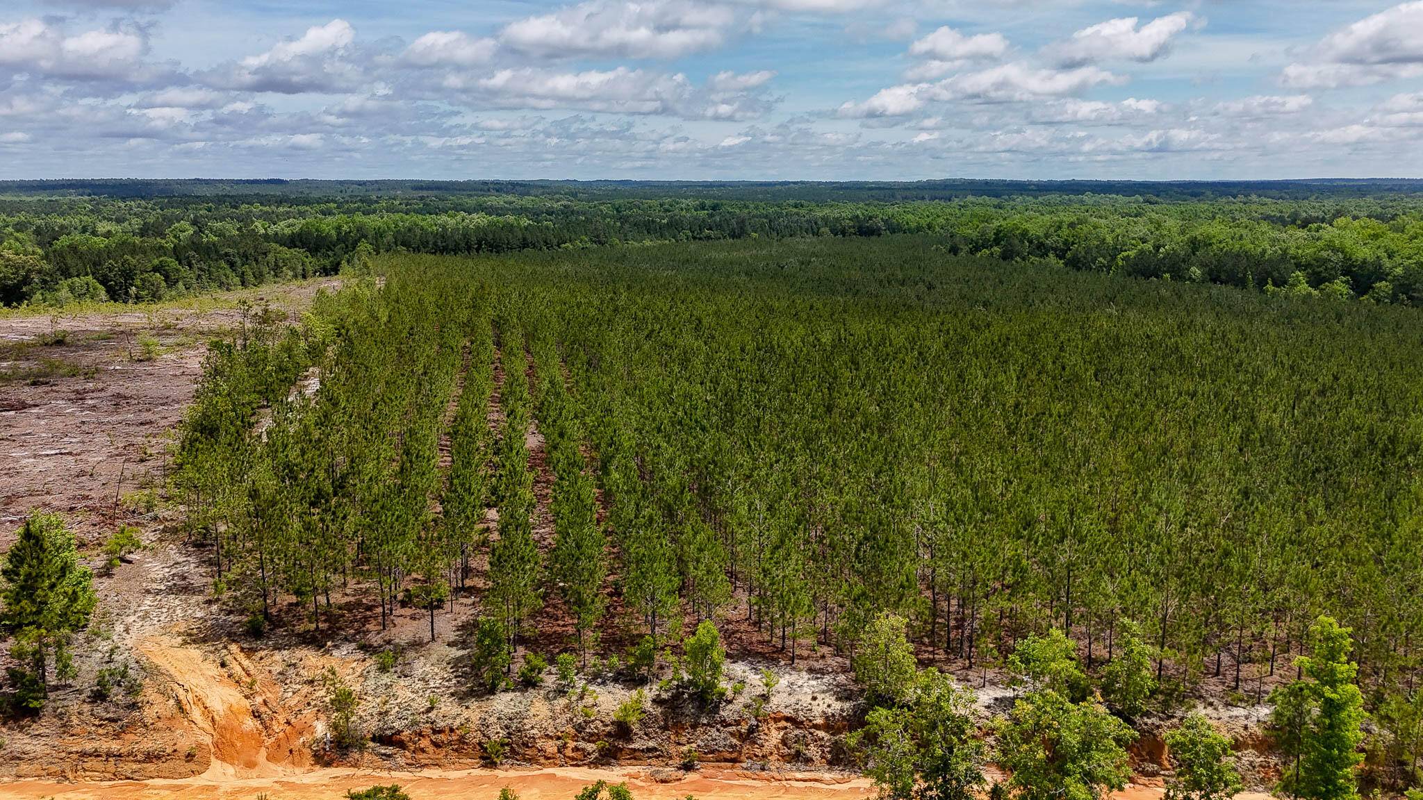 Bethune, SC 29009,0 Old CC Road