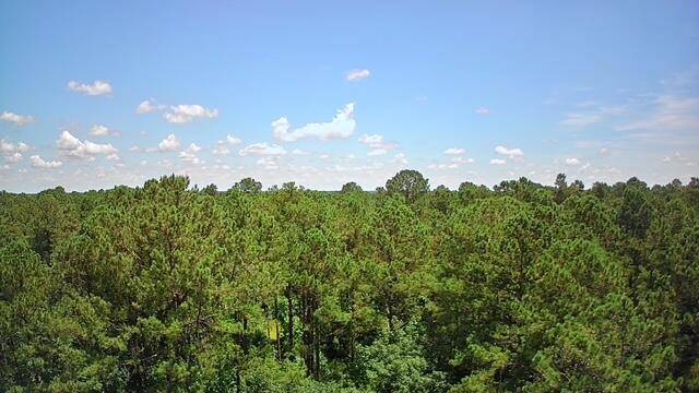 Reevesville, SC 29471,0 Nursery Rd