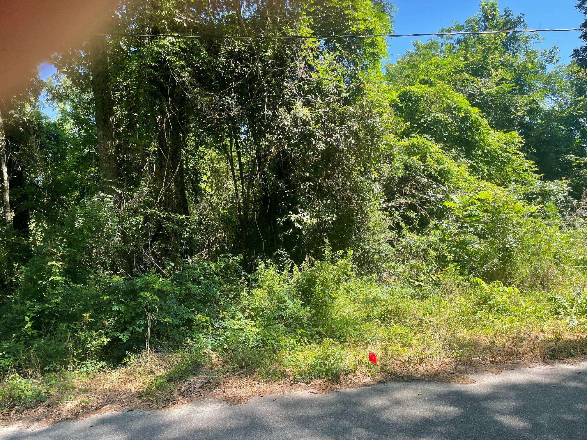 Ehrhardt, SC 29081,0 Banana St
