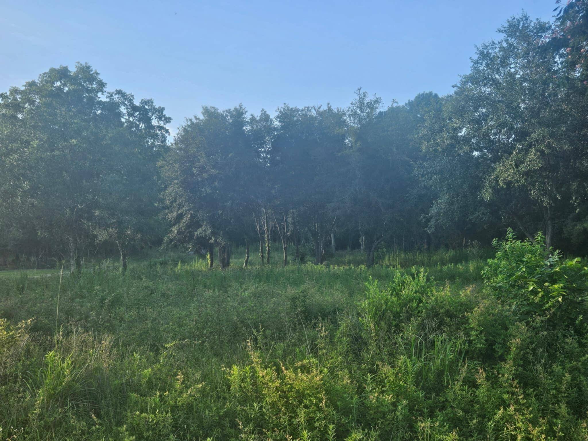 Eutawville, SC 29048,159 Moonlight Dr
