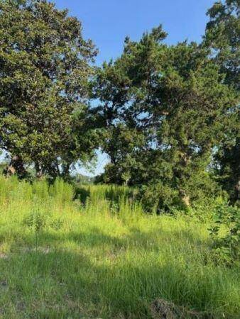 Manning, SC 29102,1096 Buchanan Rd
