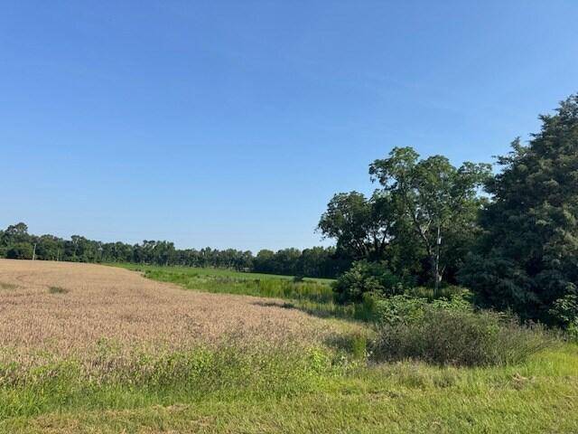 Manning, SC 29102,1096 Buchanan Rd