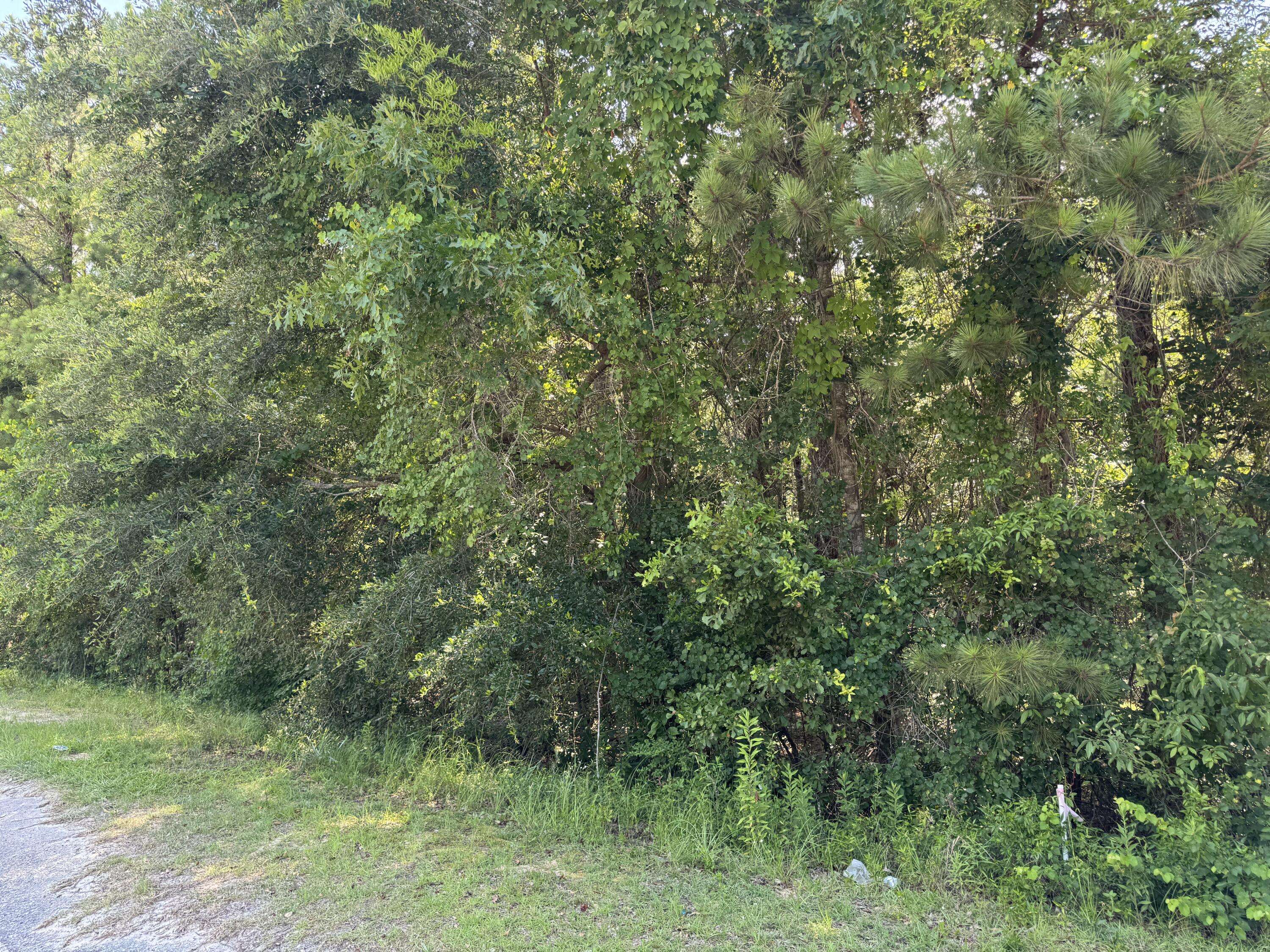 Eutawville, SC 29048,Tract 2 Tabernacle Rd