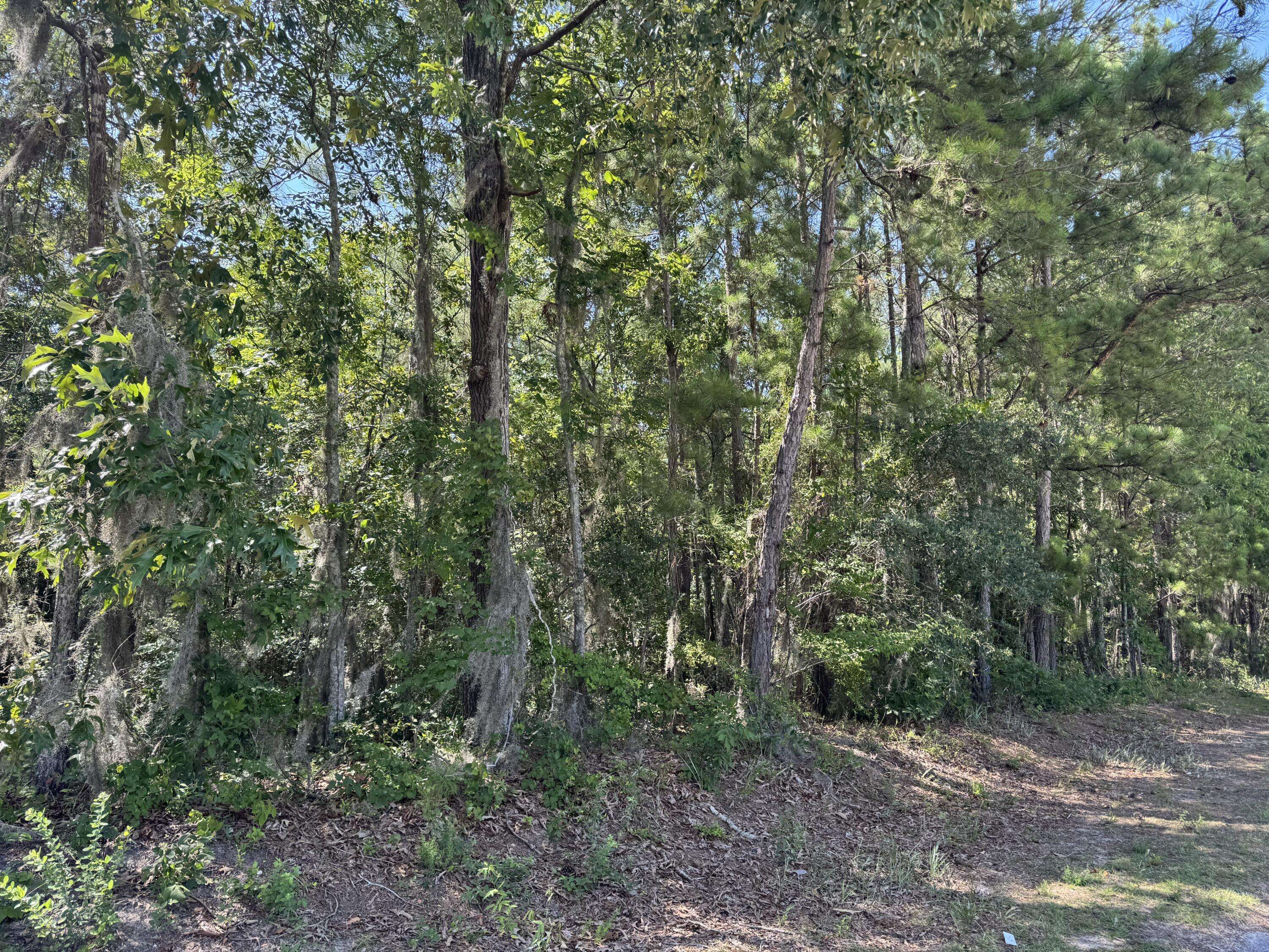 Eutawville, SC 29048,Tract 2 Tabernacle Rd