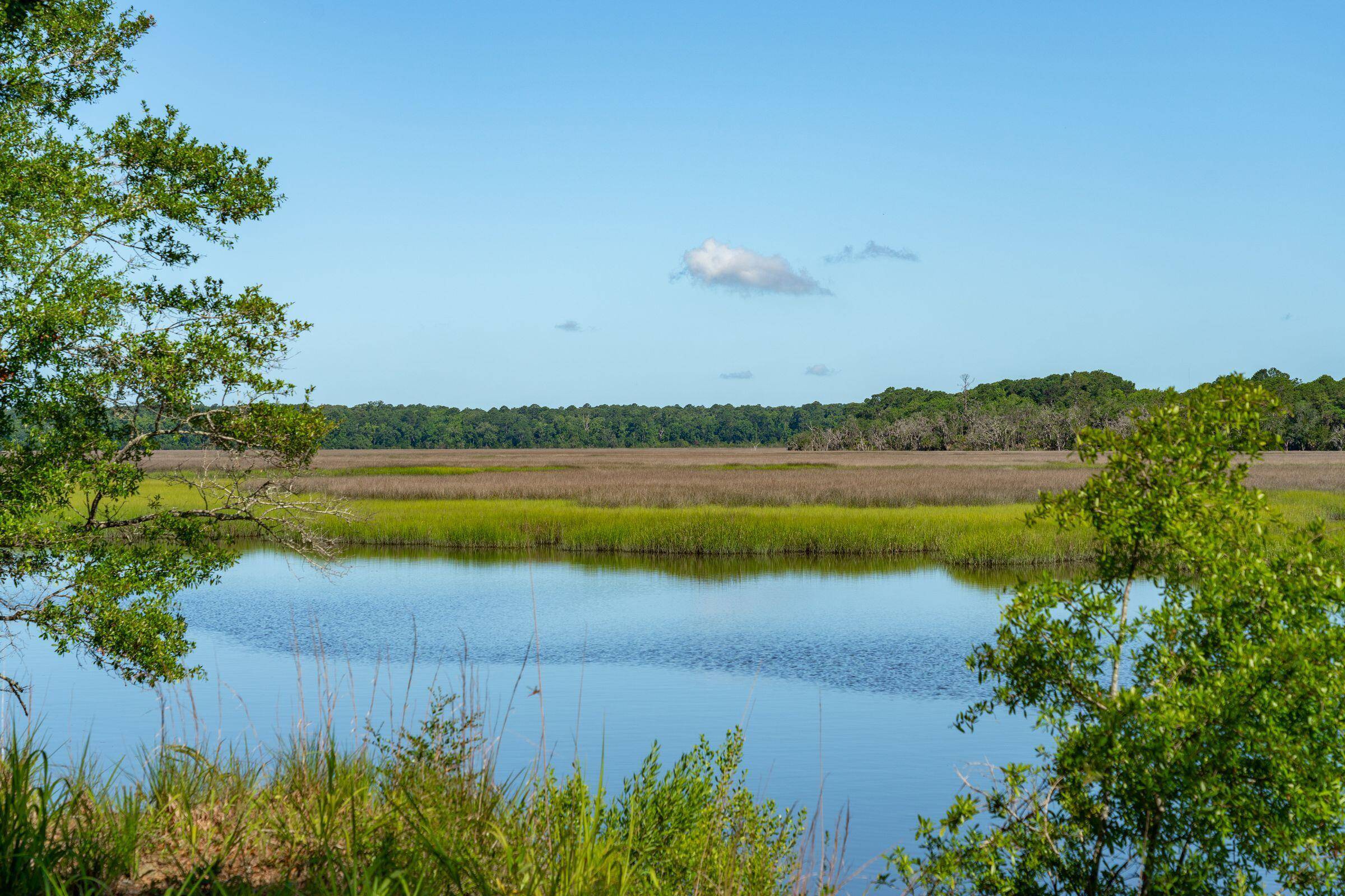 Green Pond, SC 29446,299 Tilly Pt Way ##3