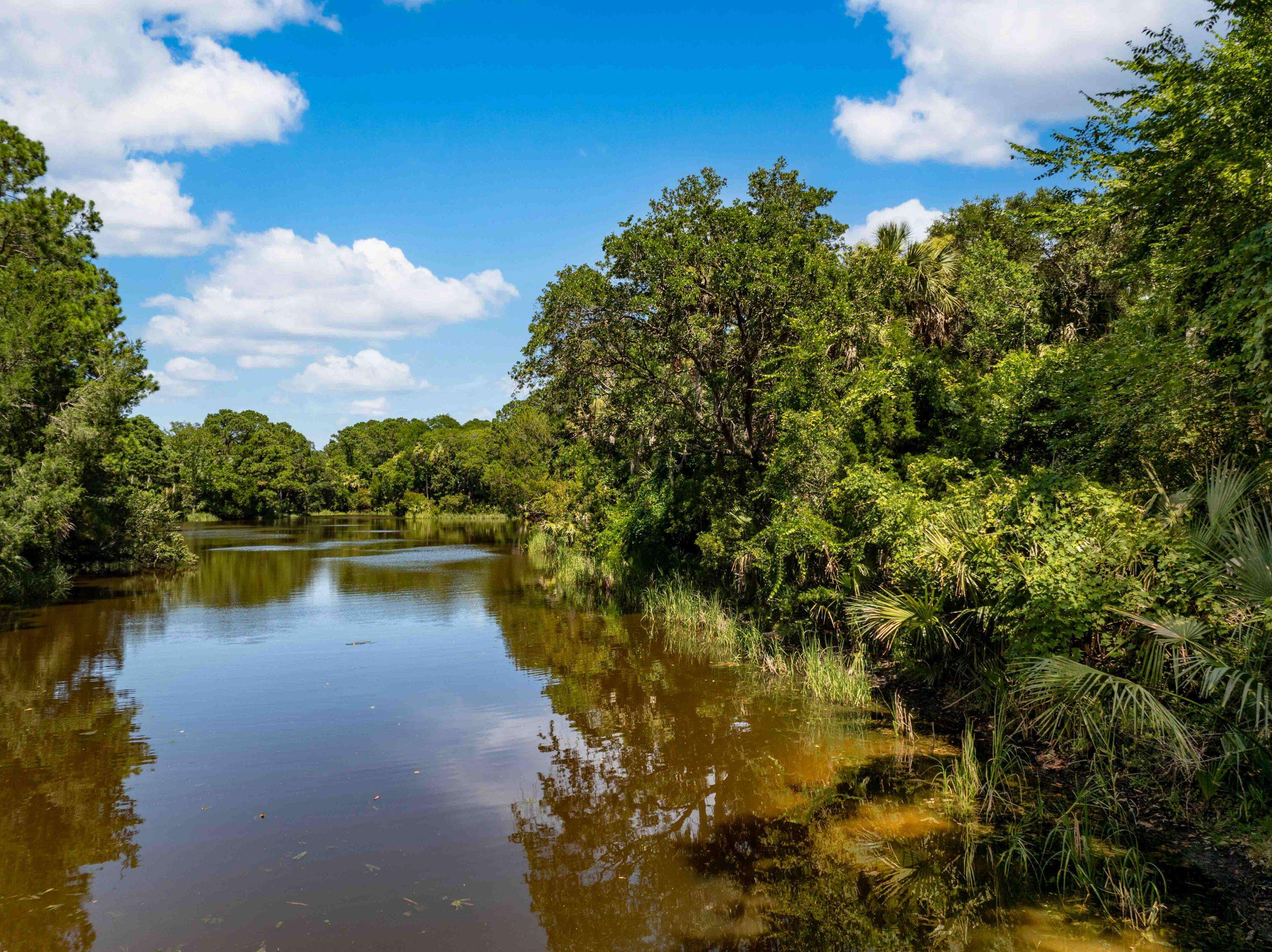 Kiawah Island, SC 29455,124 Sawgrass Ln