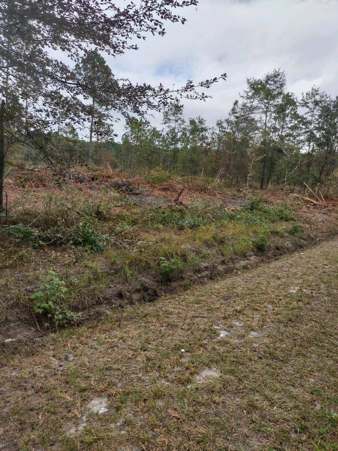 Cottageville, SC 29435,002 Rehoboth Rd