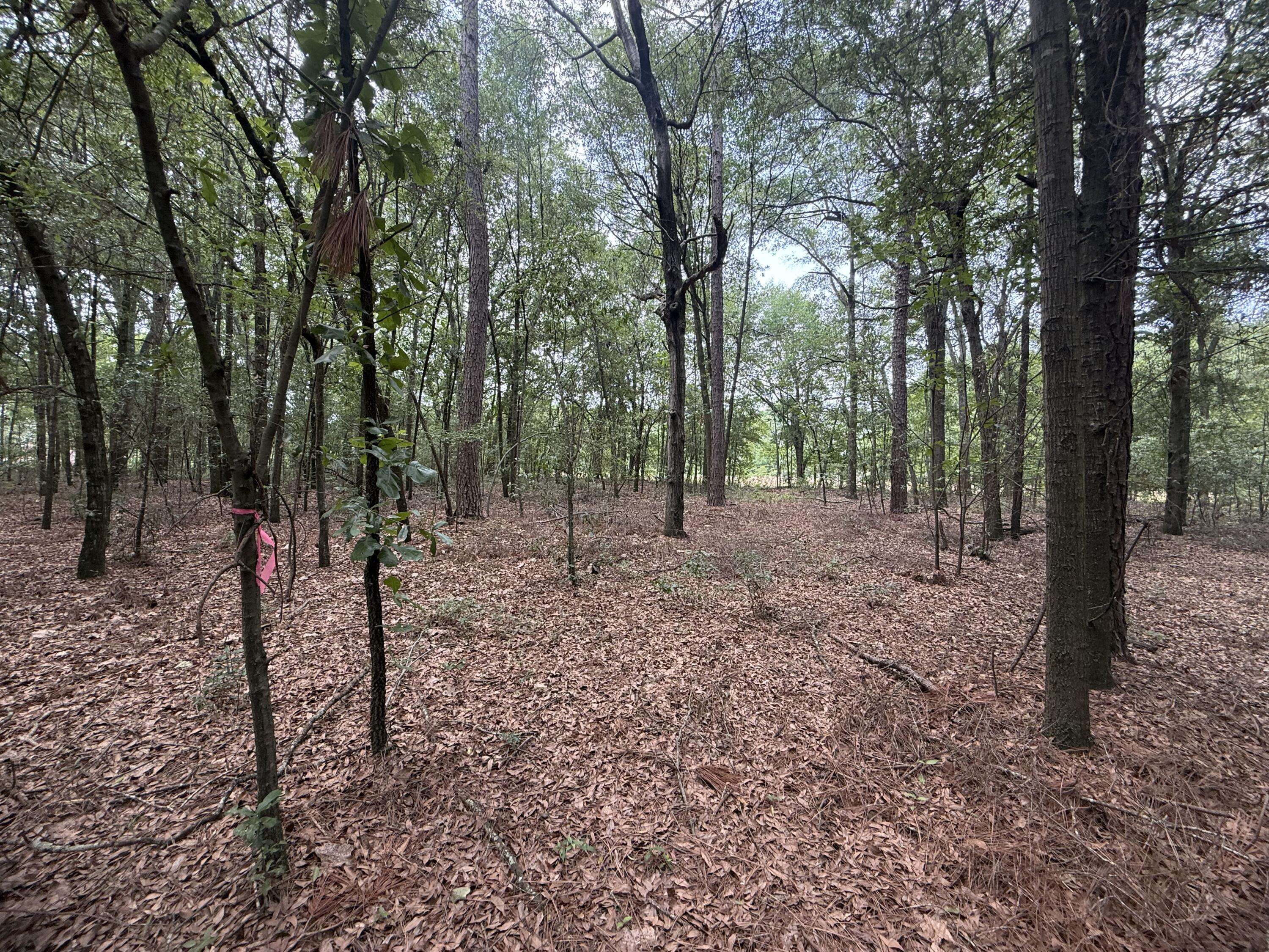 Wagener, SC 29164,Qaf 4 Rainbow Dr #Qaf 4