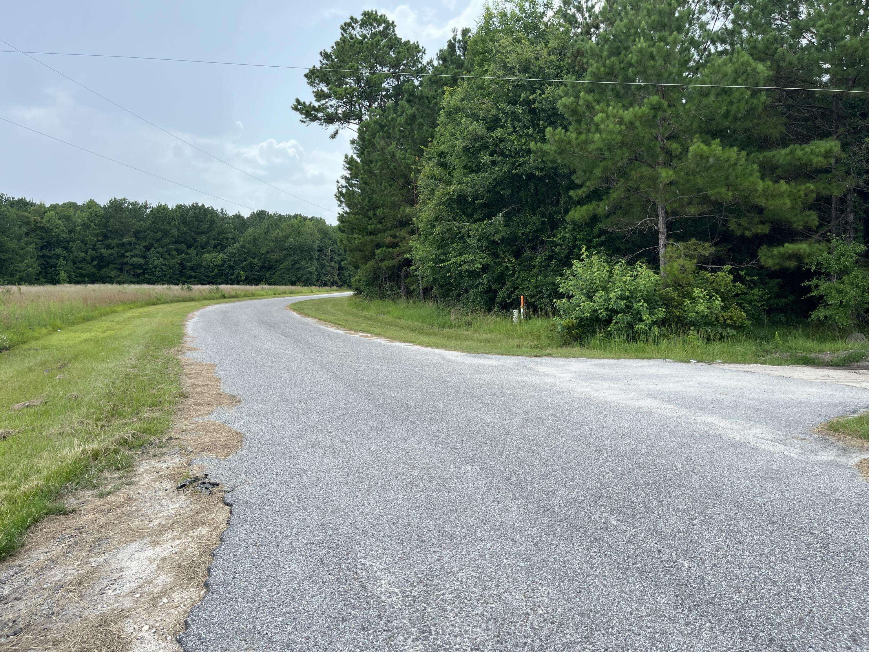 Walterboro, SC 29488,0 Carolette Ct