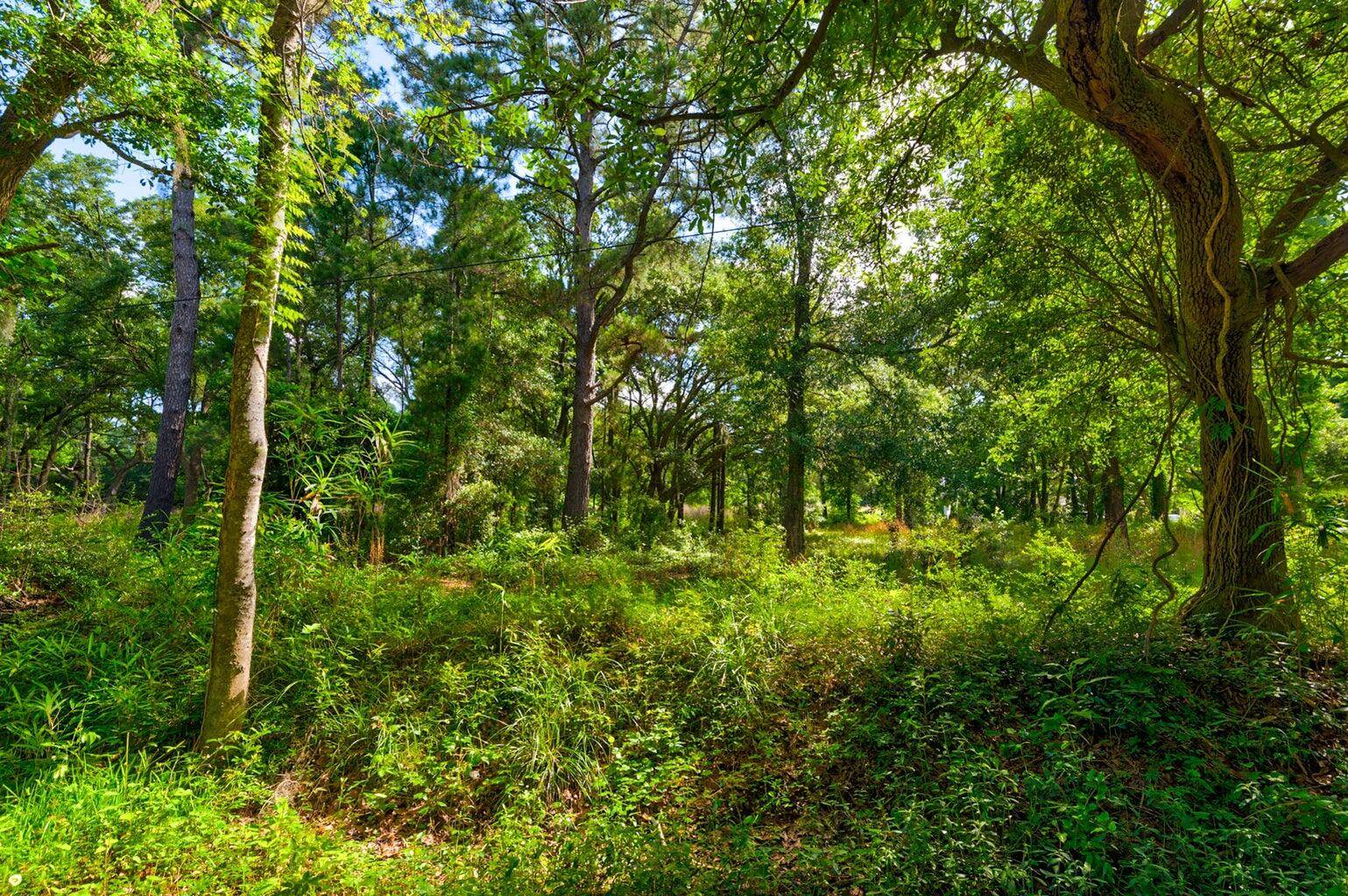 James Island, SC 29412,0000 Arsburn Rd