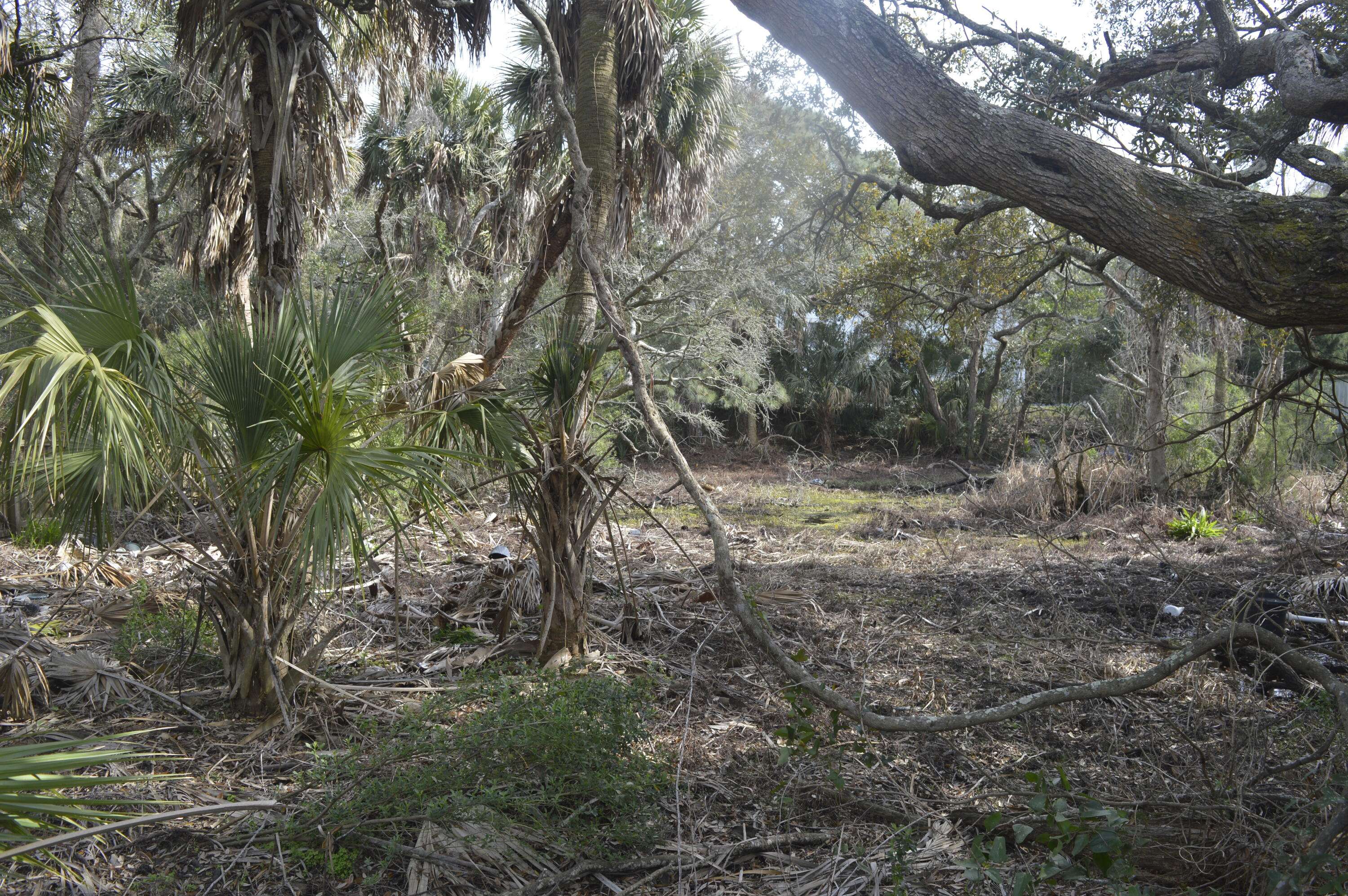 Folly Beach, SC 29439,916 E Ashley Ave