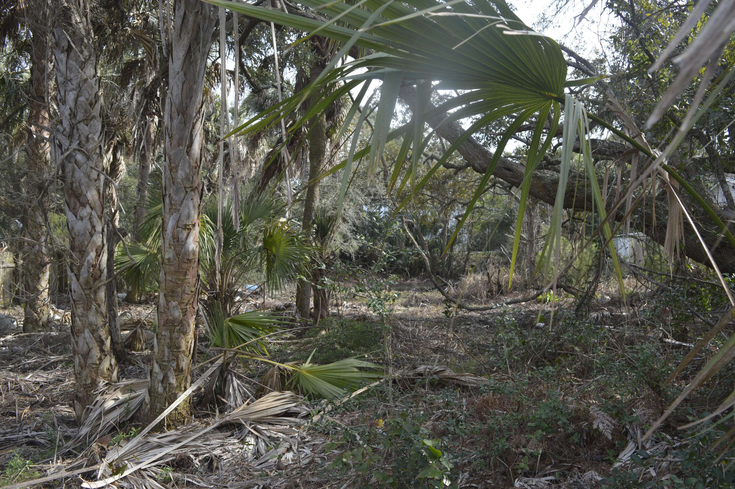 Folly Beach, SC 29439,916 E Ashley Ave