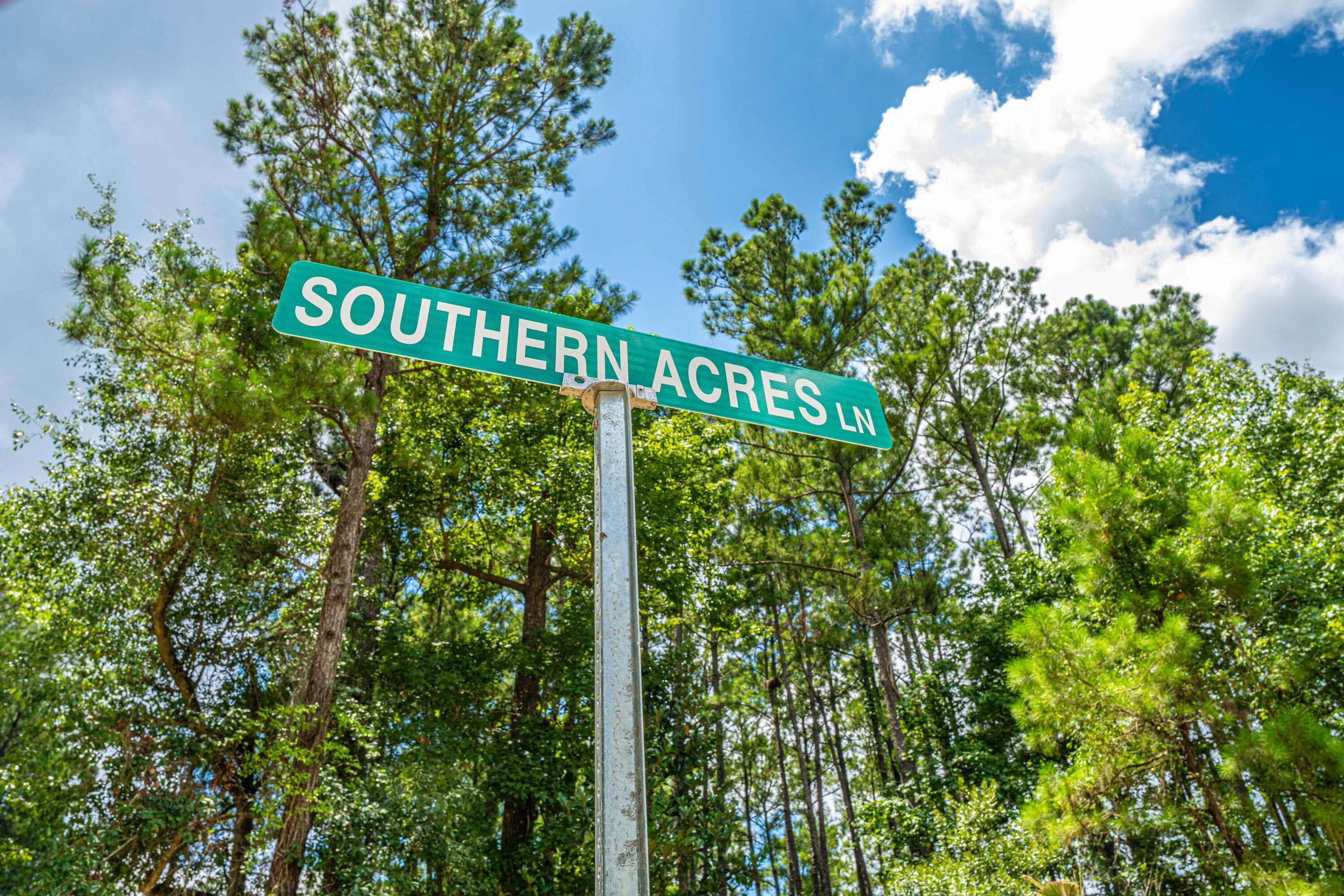 Summerville, SC 29486,007 Southern Acres Ln