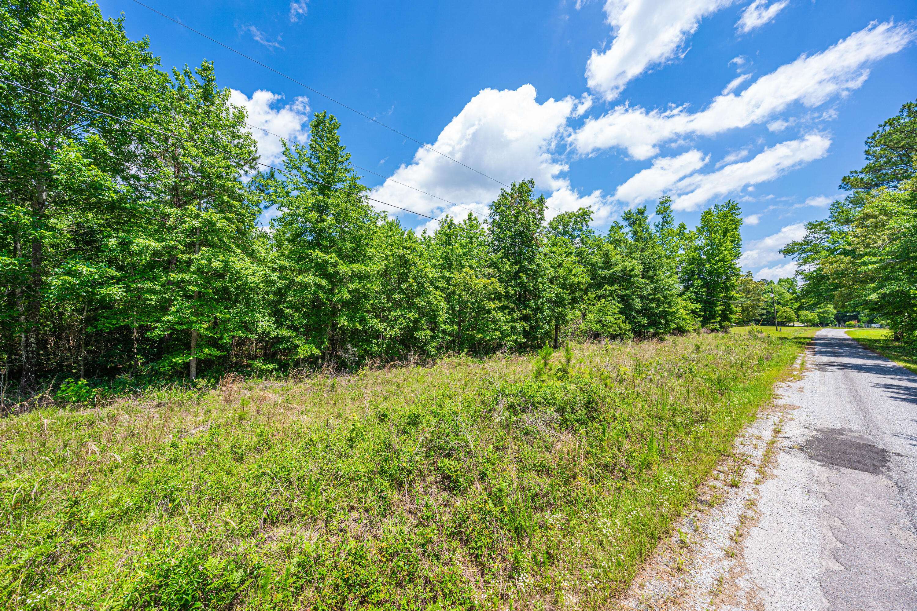 Branchville, SC 29432,0 Park Cir