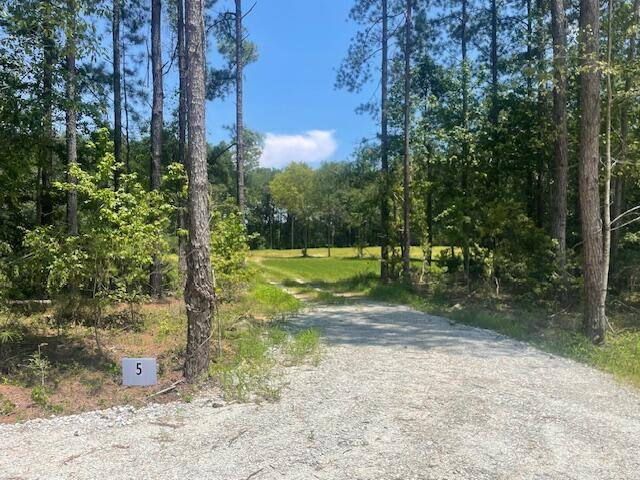 Cross, SC 29436,5 Grooms Rd