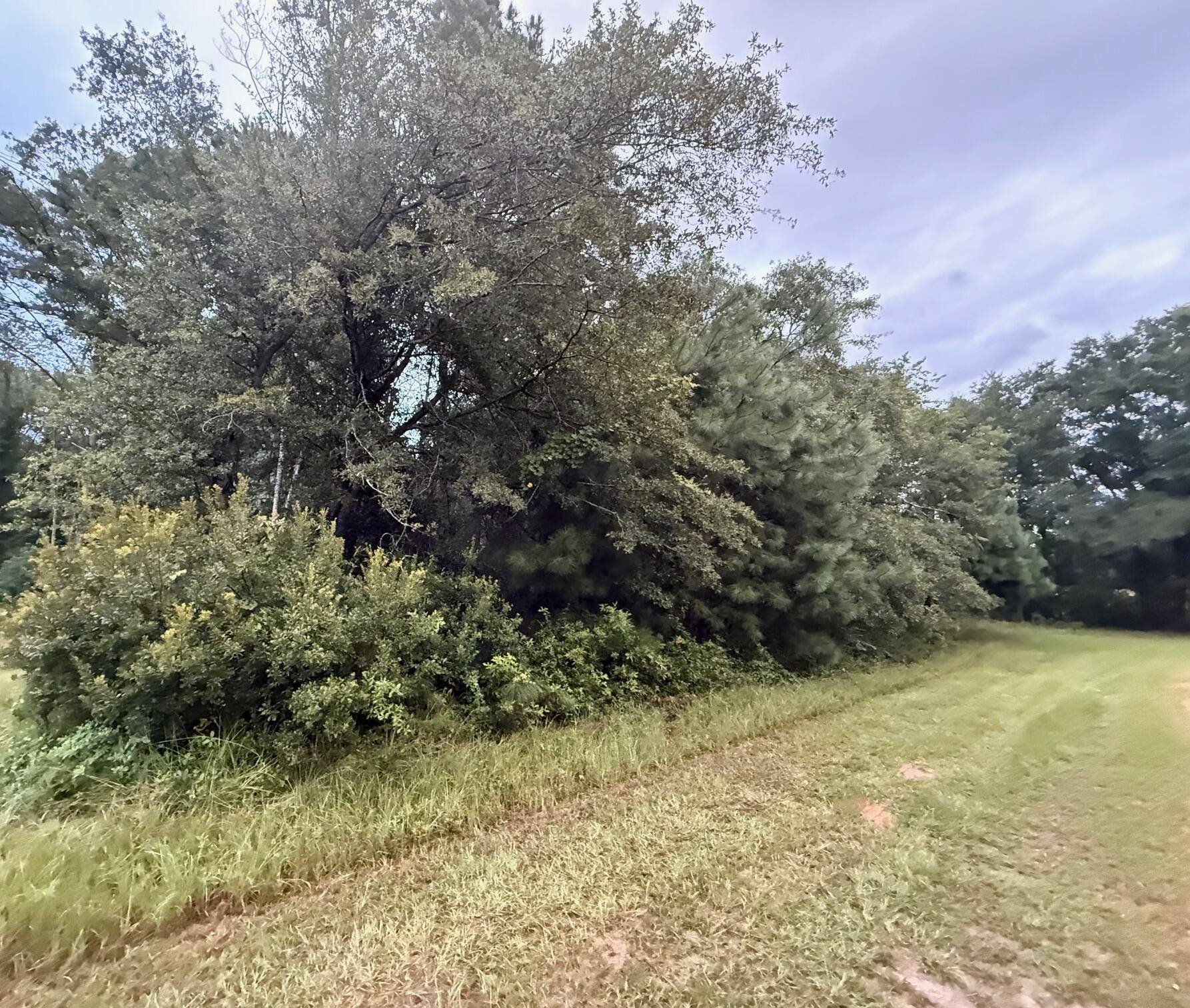 Saint Matthews, SC 29135,0 Staley Field Ln