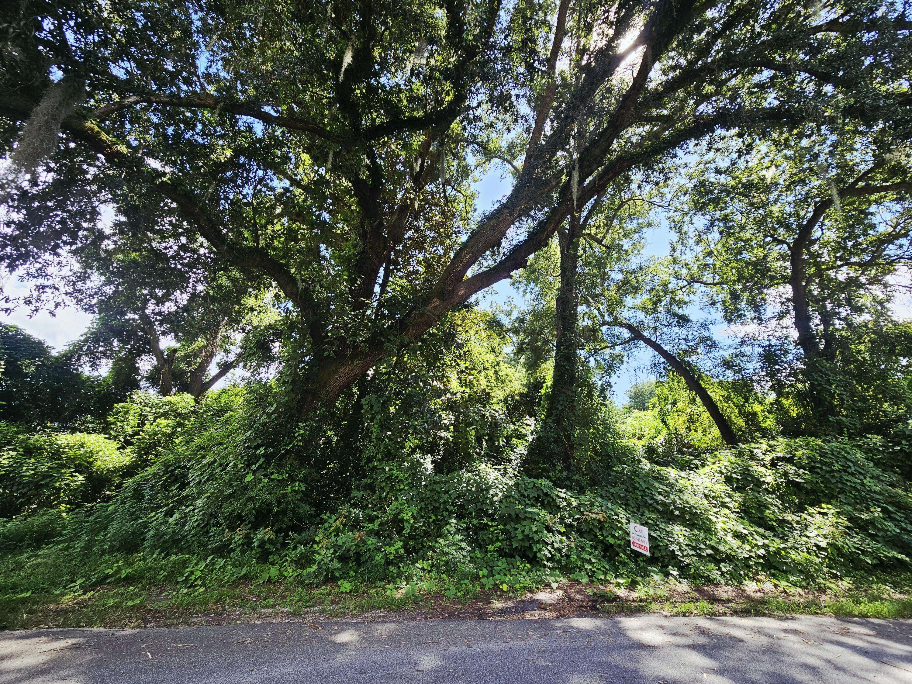 Walterboro, SC 29488,308 Chaplin St