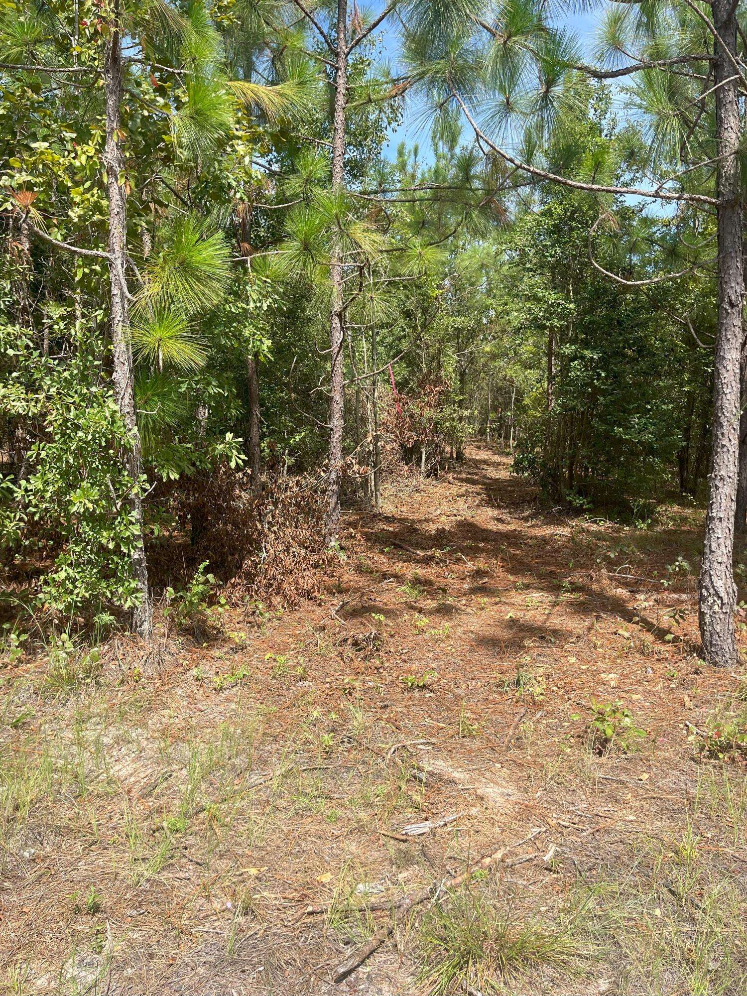 Westville, SC 29175,Ppf 6 Payne Pond Rd #Ppf 6