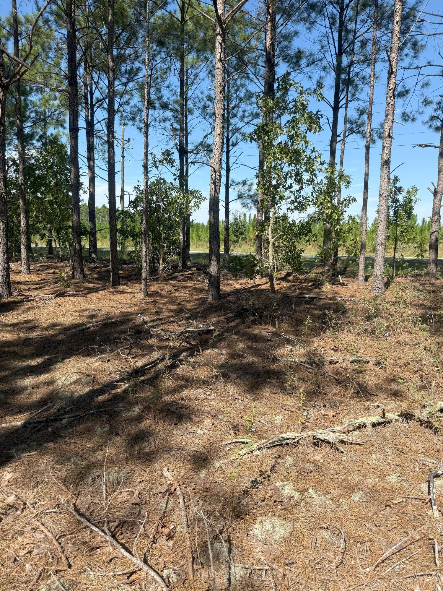 Westville, SC 29175,Kf 6 Providence Rd #Kf 6