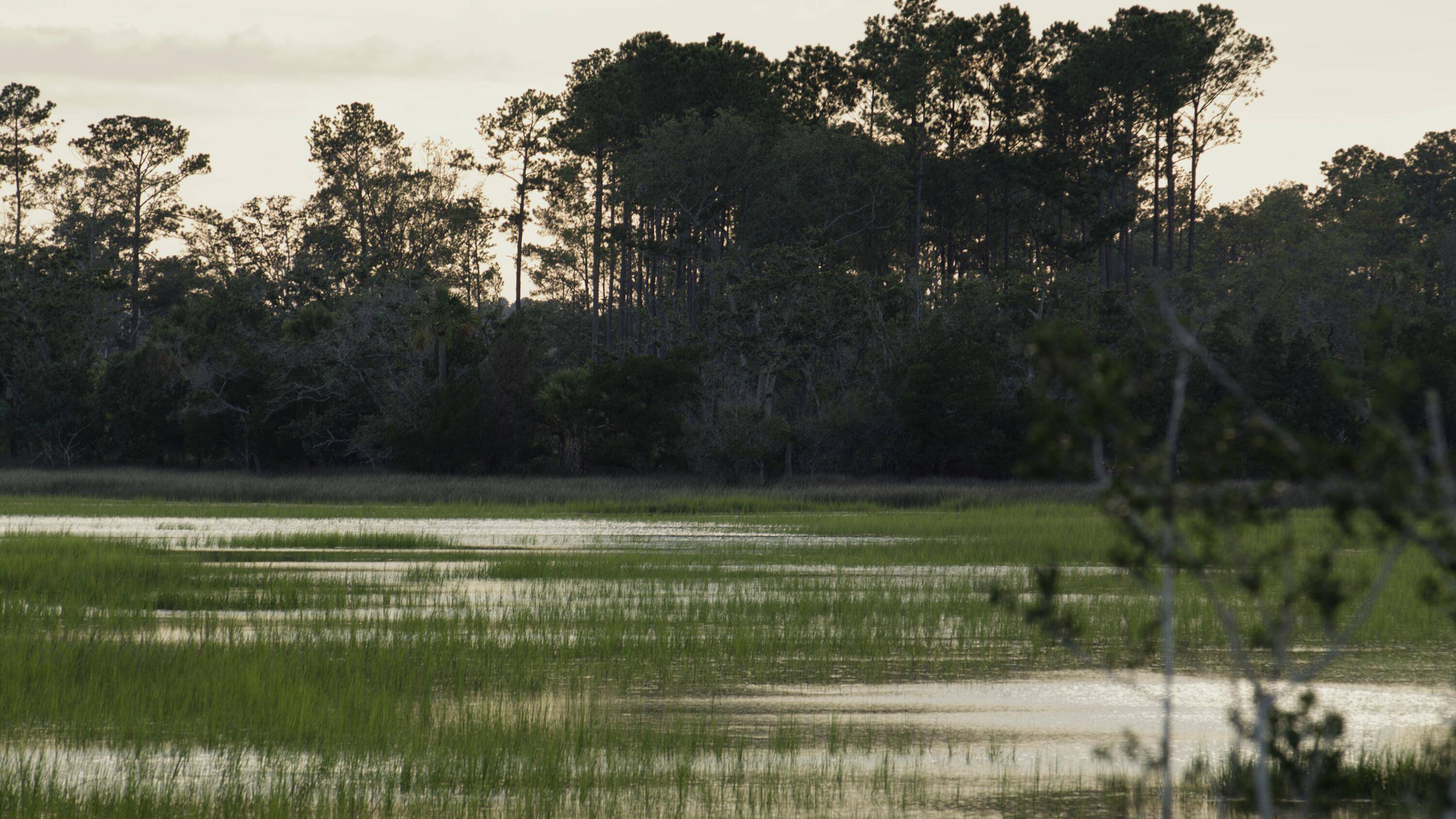 Charleston, SC 29492,1153 Ship Builder St