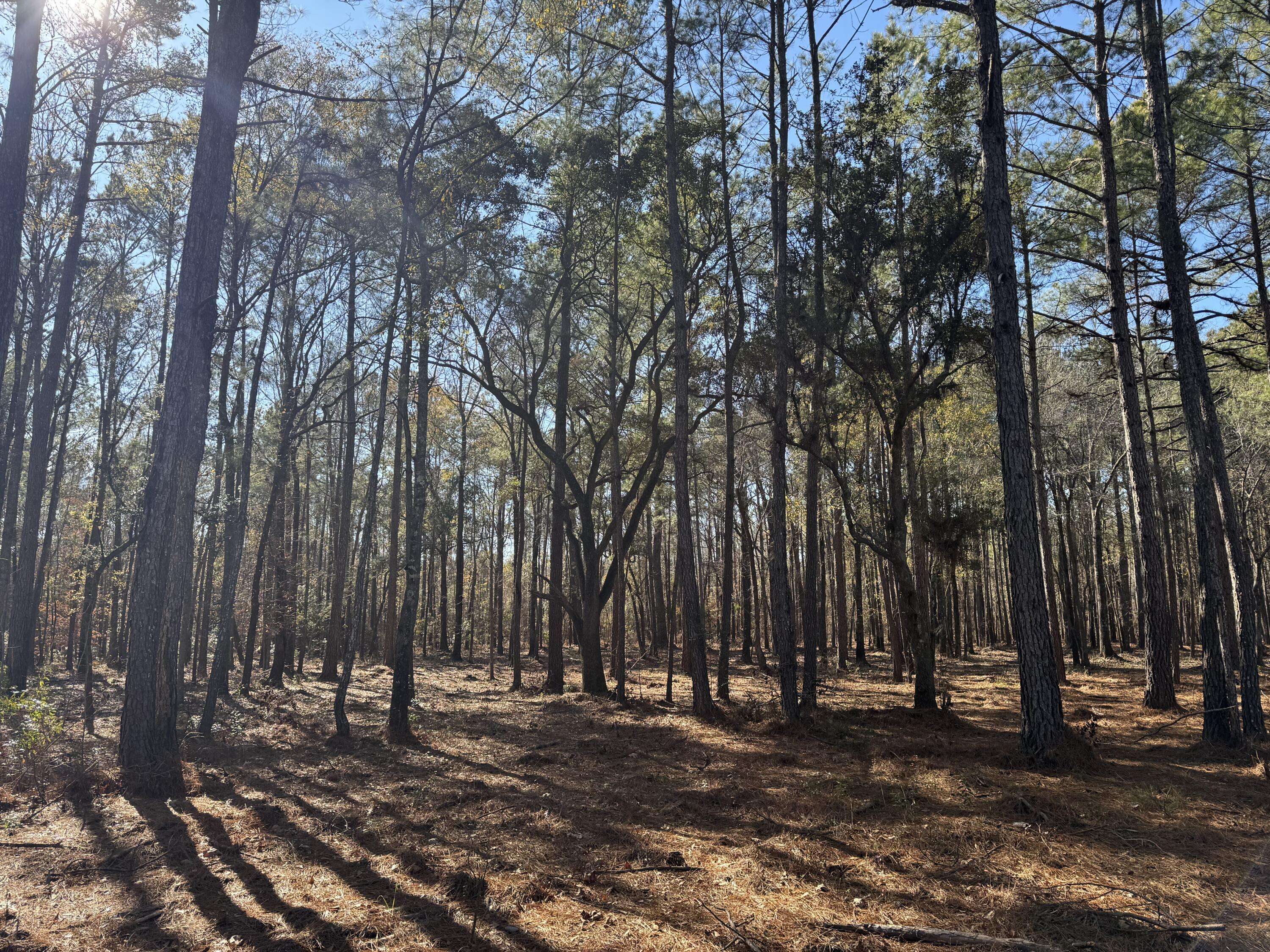 Summerville, SC 29483,0 Brewer Rd