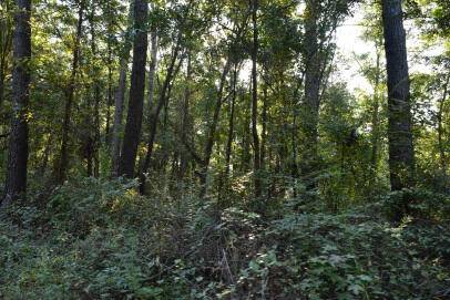 Georgetown, SC 29440,139 Earnestine Dr