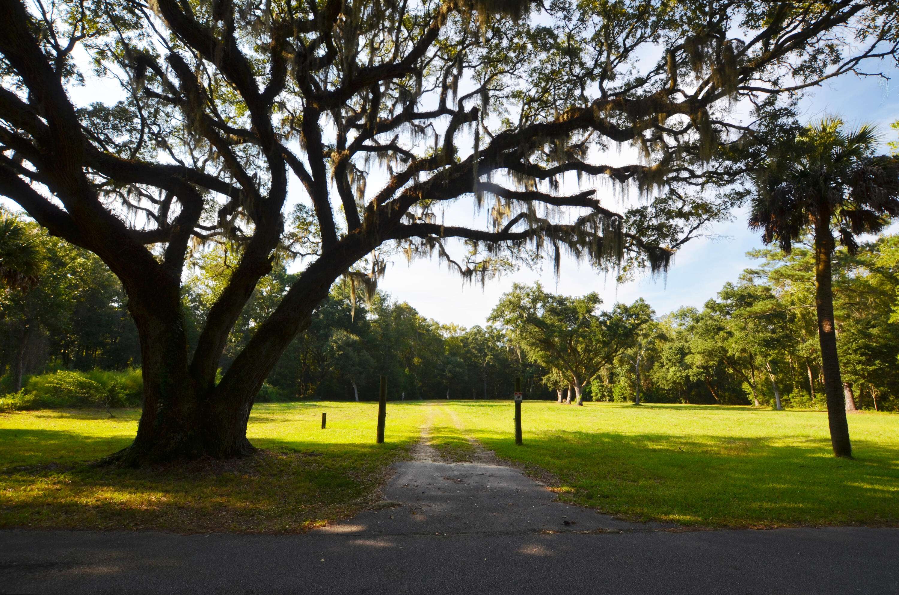 Mcclellanville, SC 29458,564 Dupre Rd