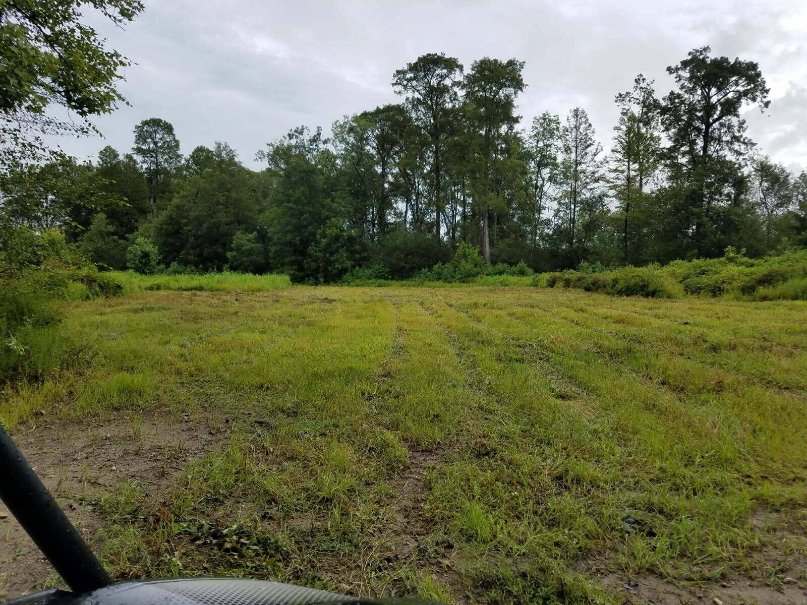Ridgeville, SC 29472,0000 Pierce Rd