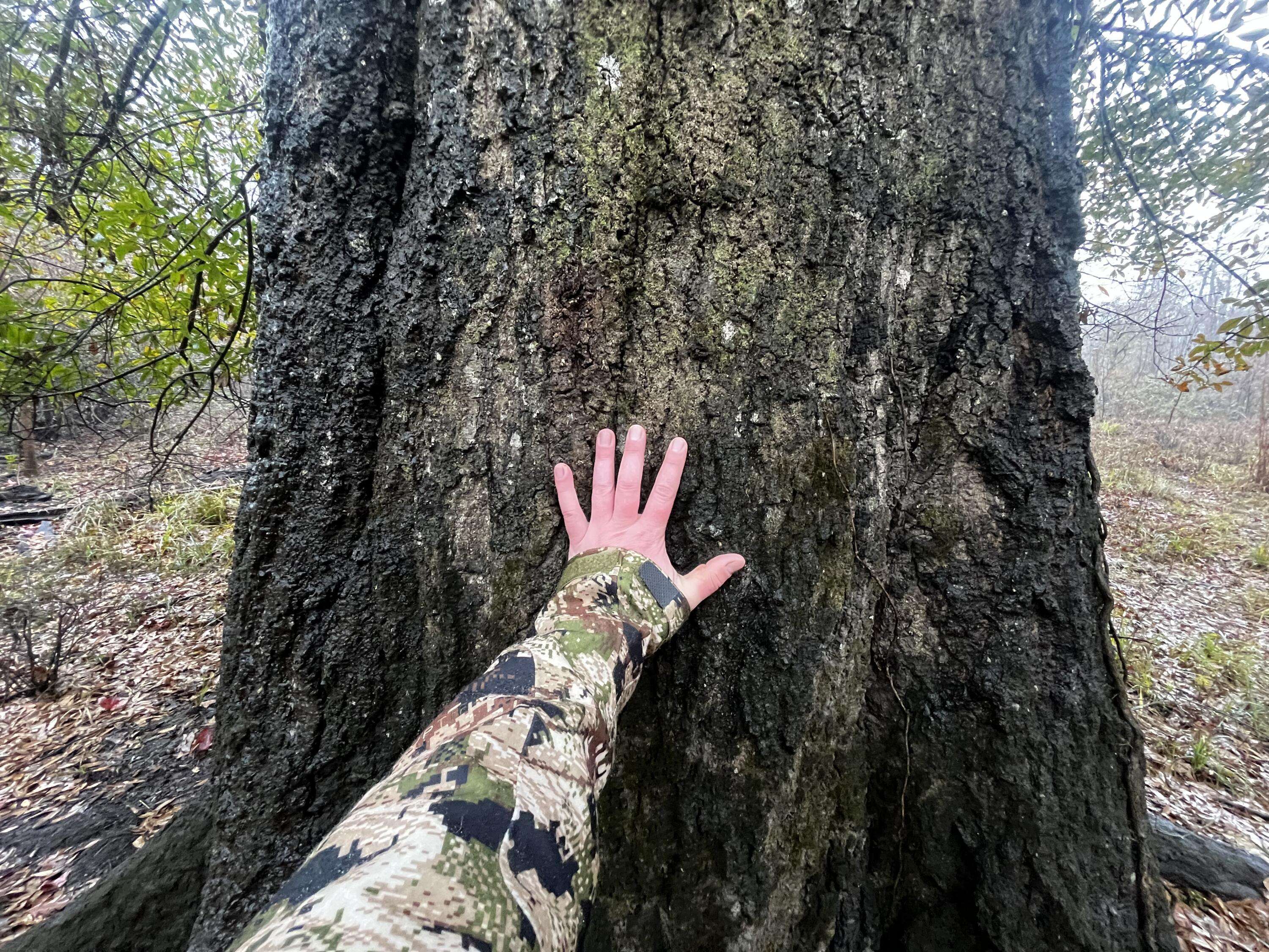 Ridgeville, SC 29472,0000 Pierce Rd