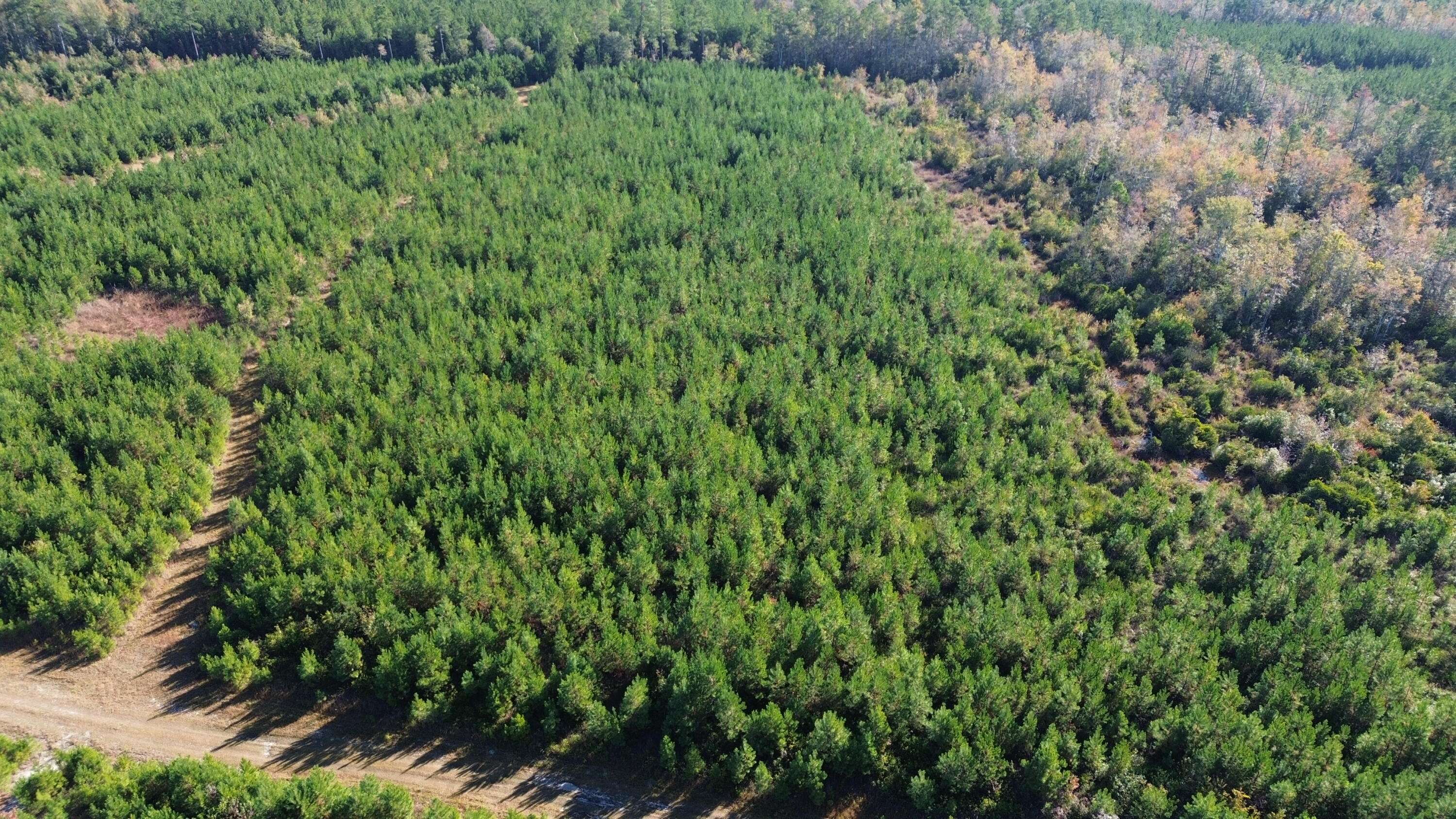 Cross, SC 29436,16 Hwy 311