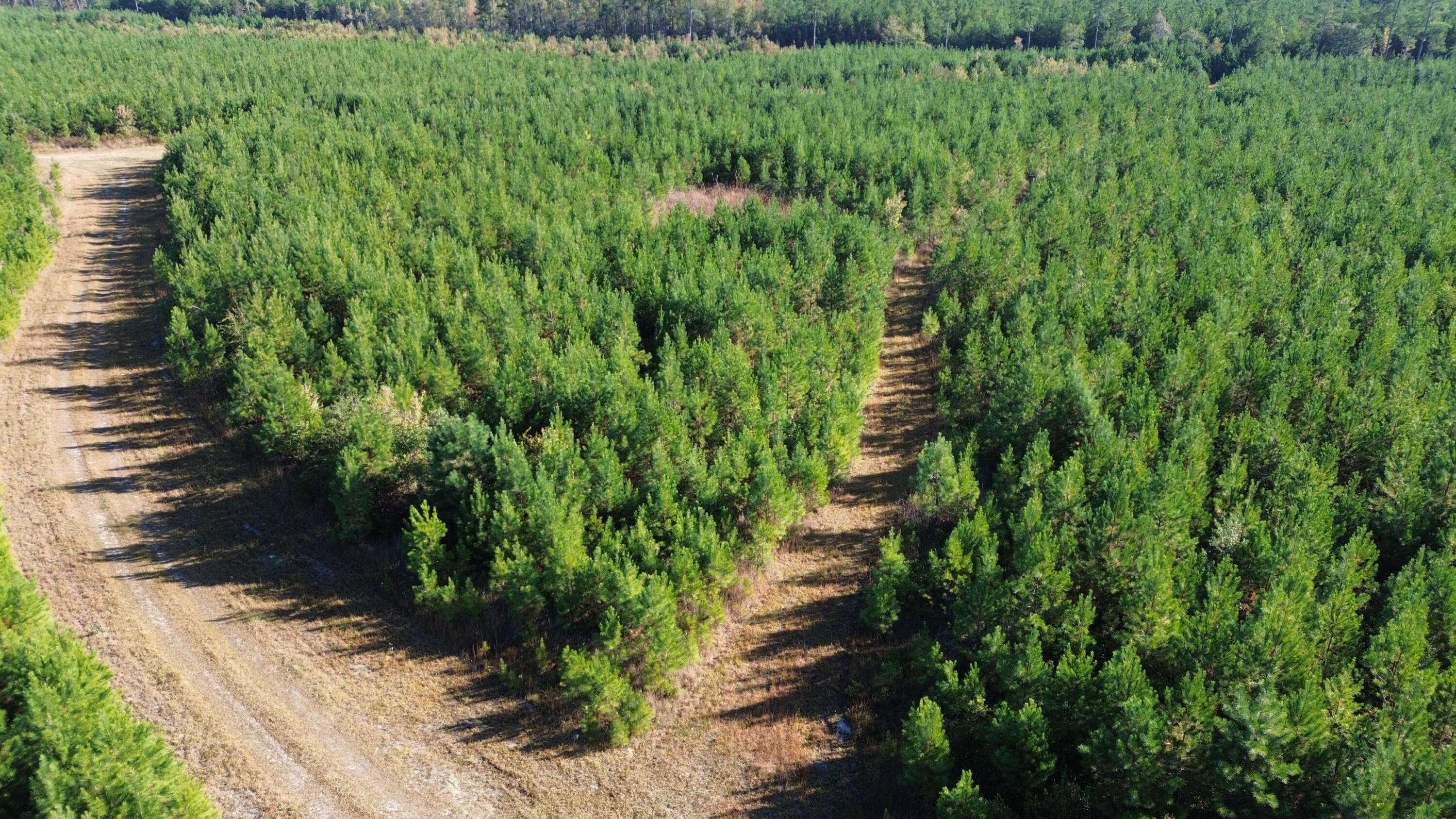 Cross, SC 29436,24 Highway 311